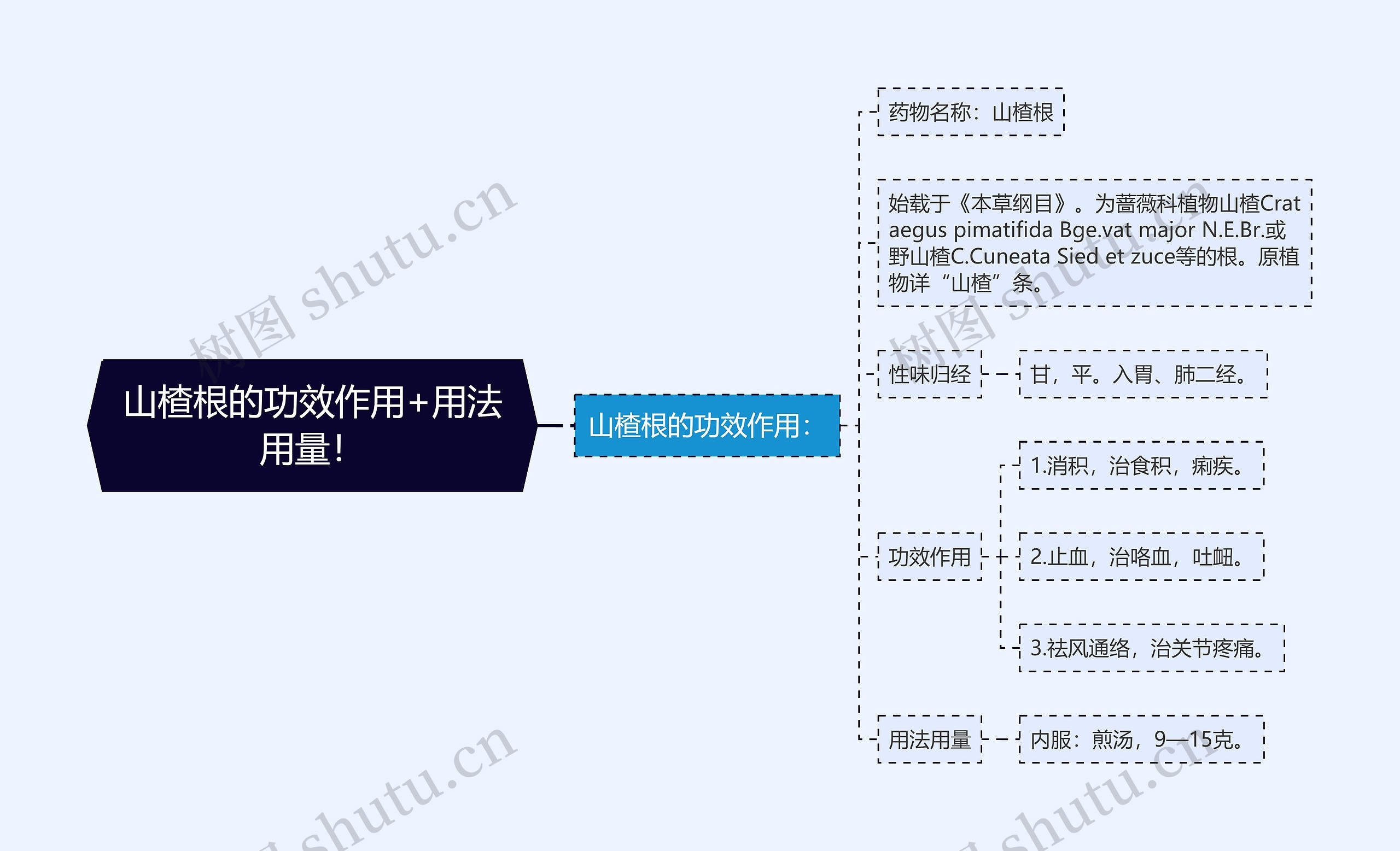 山楂根的功效作用+用法用量！思维导图