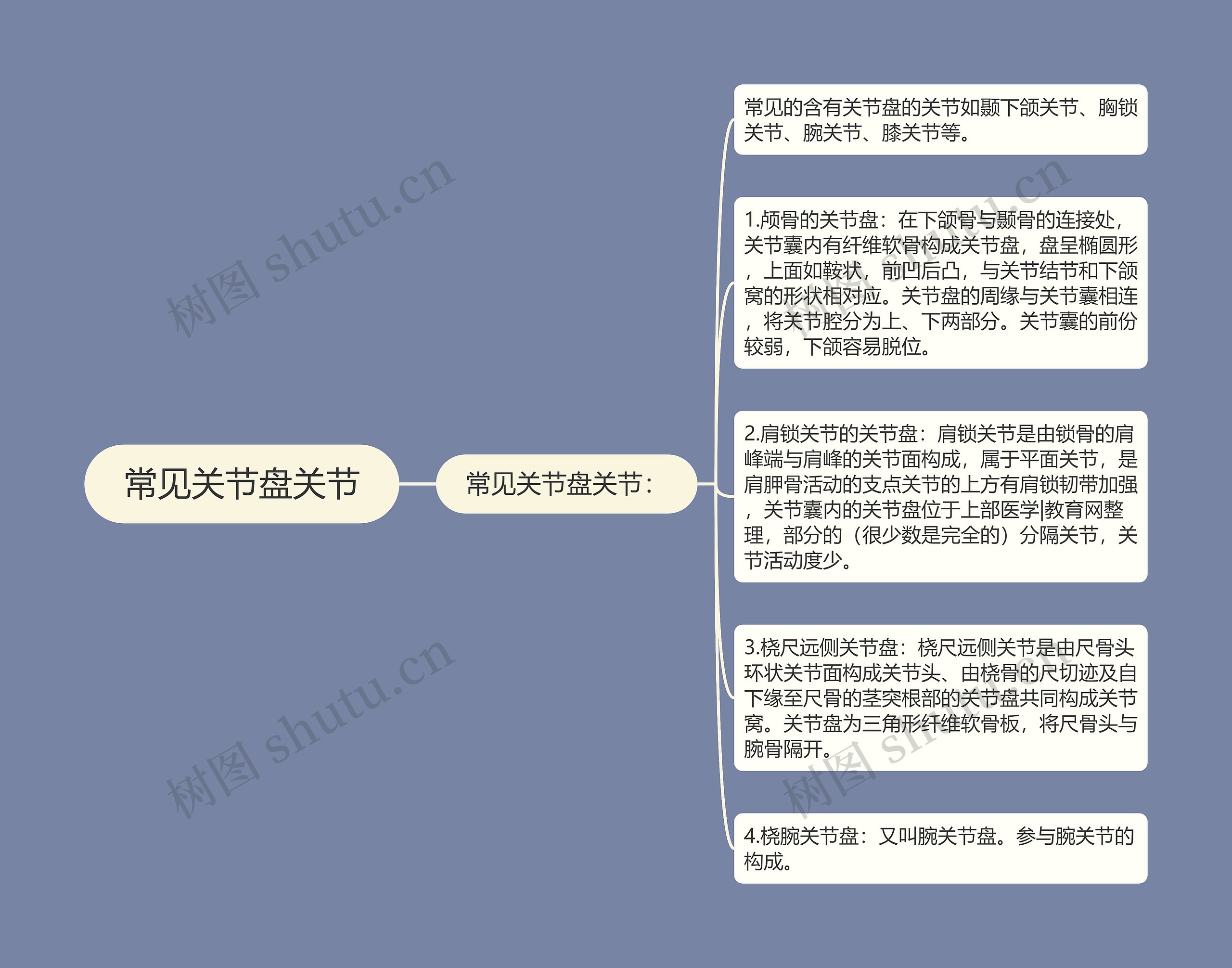 常见关节盘关节 常见关节盘关节