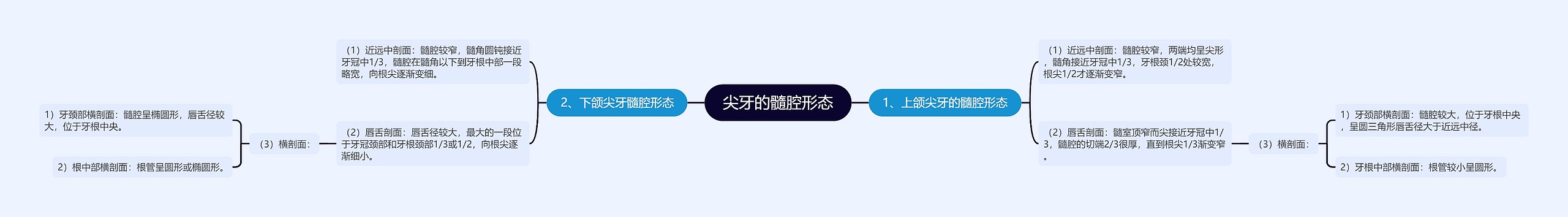 尖牙的髓腔形态 尖牙的髓腔形态