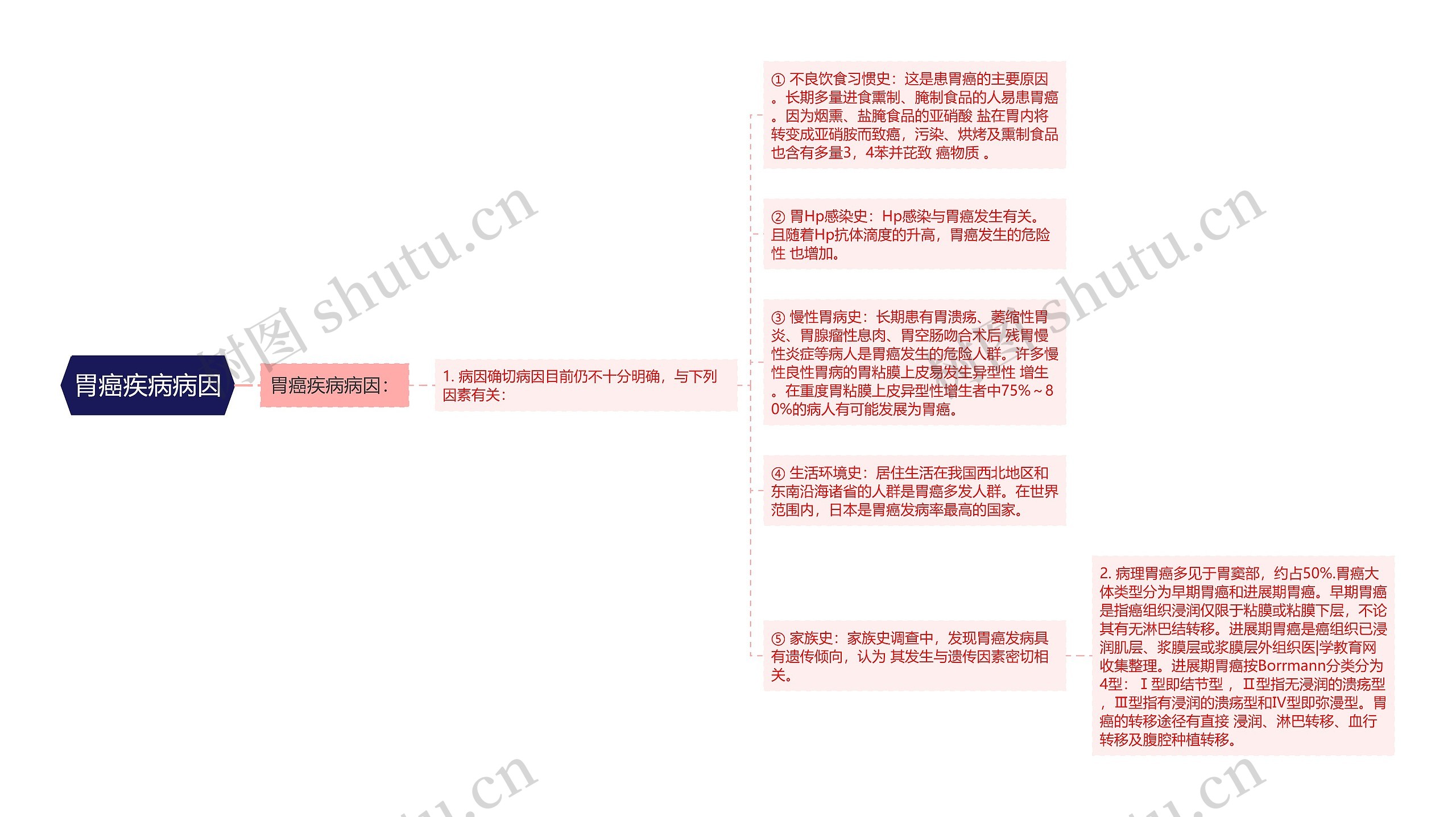 胃癌疾病病因