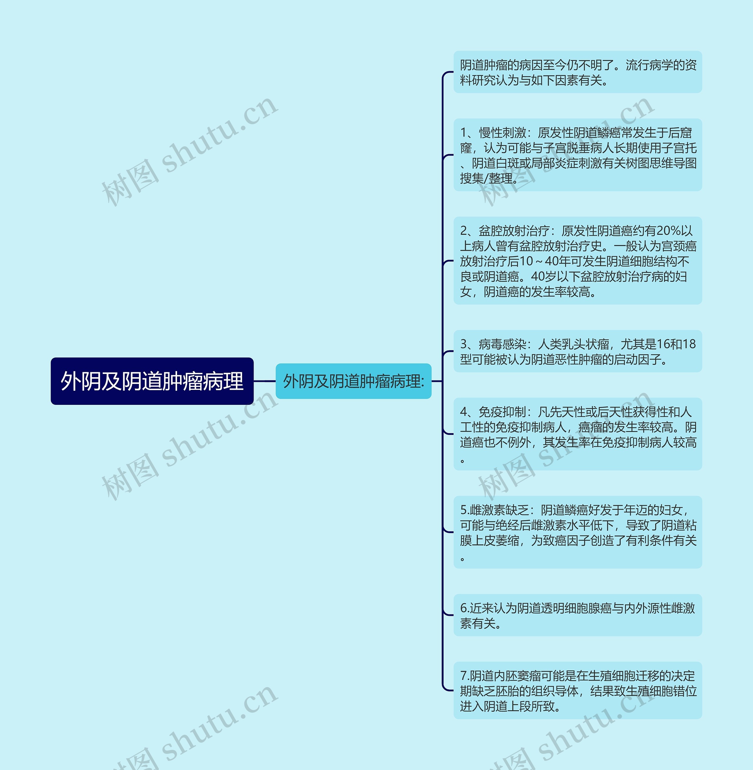 外阴及阴道肿瘤病理思维导图