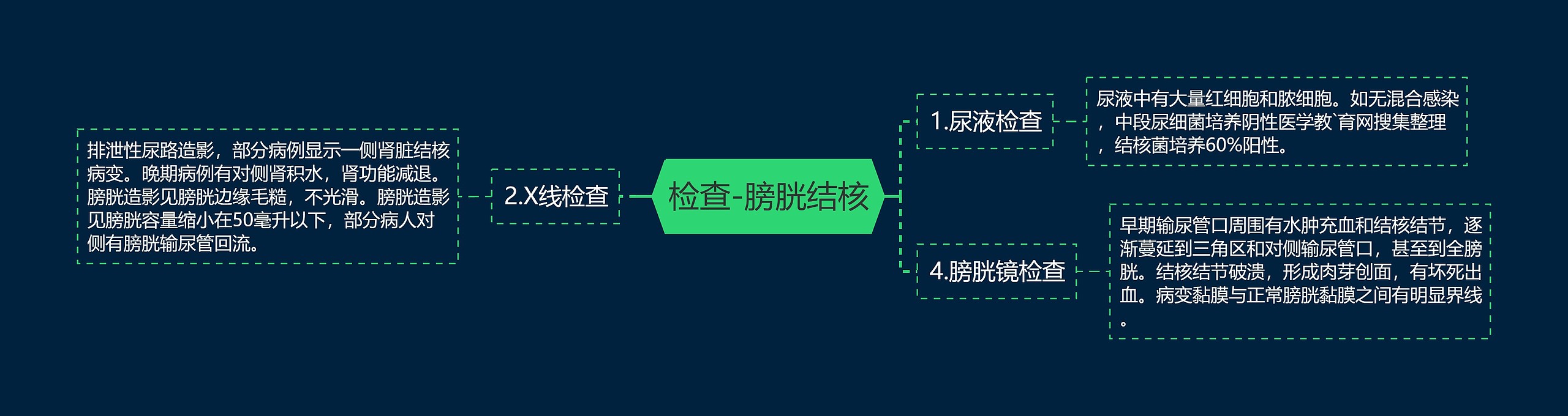 检查-膀胱结核 检查-膀胱结核