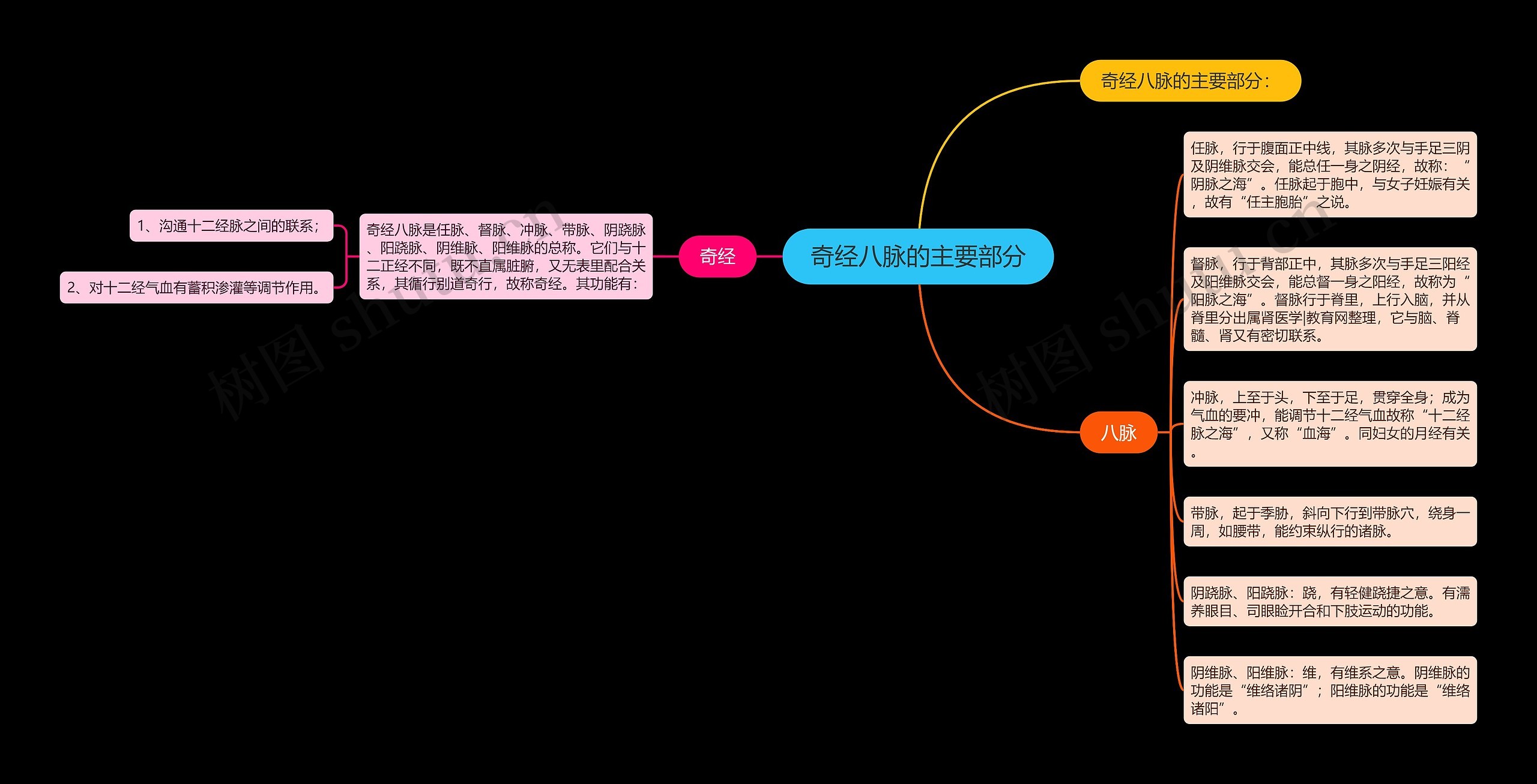 奇经八脉的主要部分思维导图