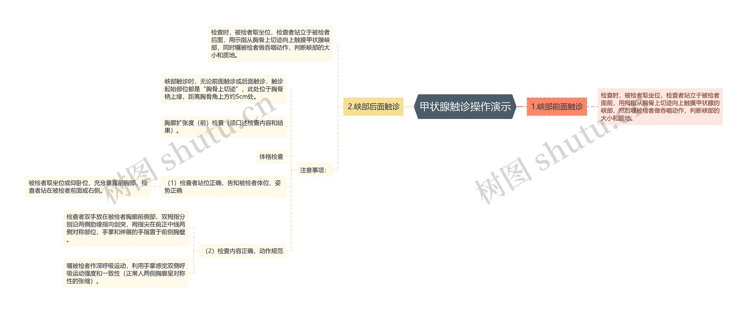 甲状腺触诊操作演示