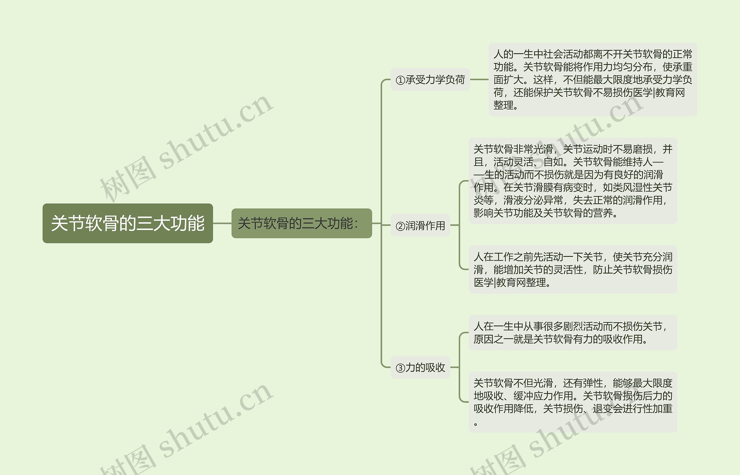 关节软骨的三大功能