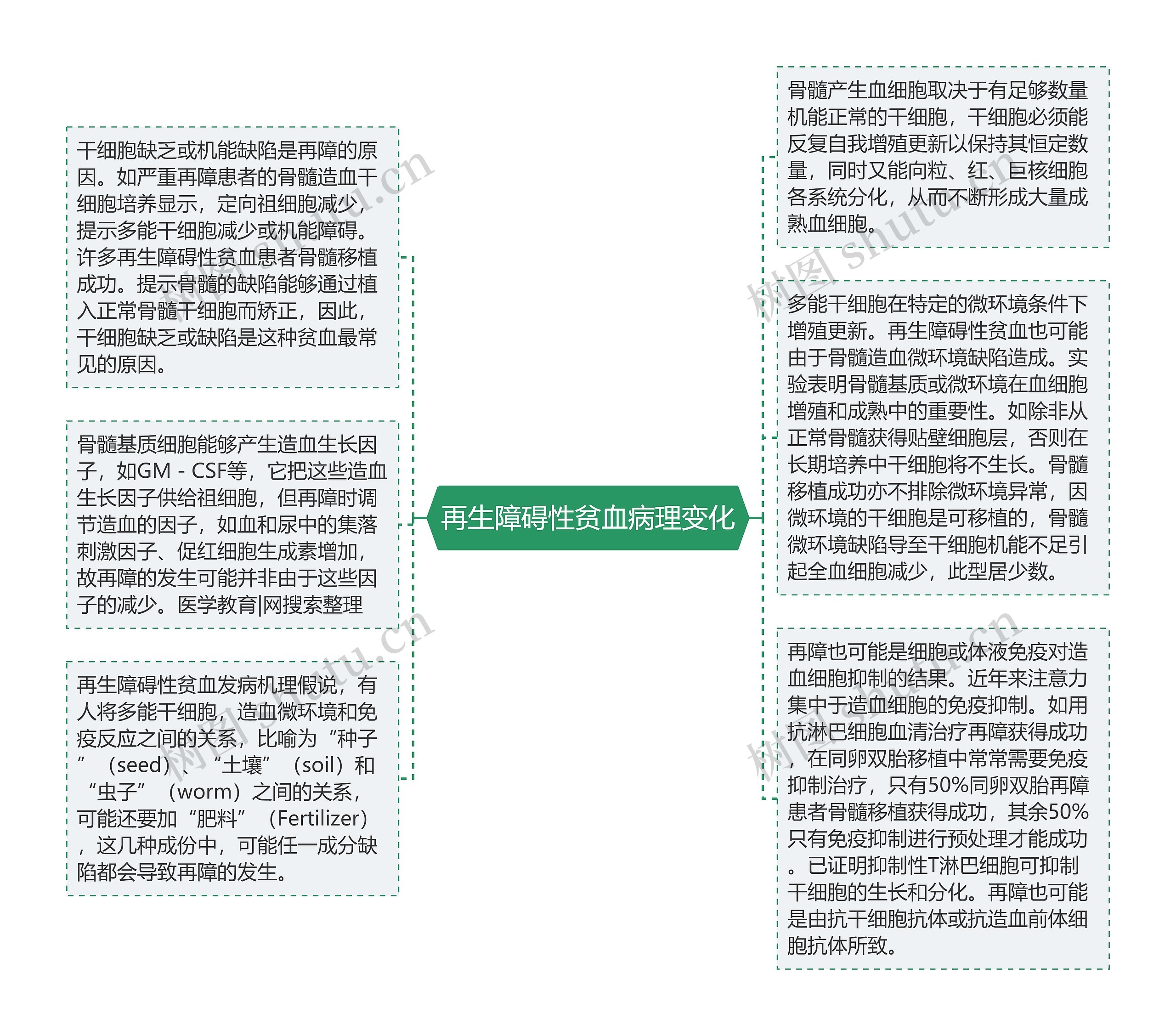 再生障碍性贫血病理变化思维导图