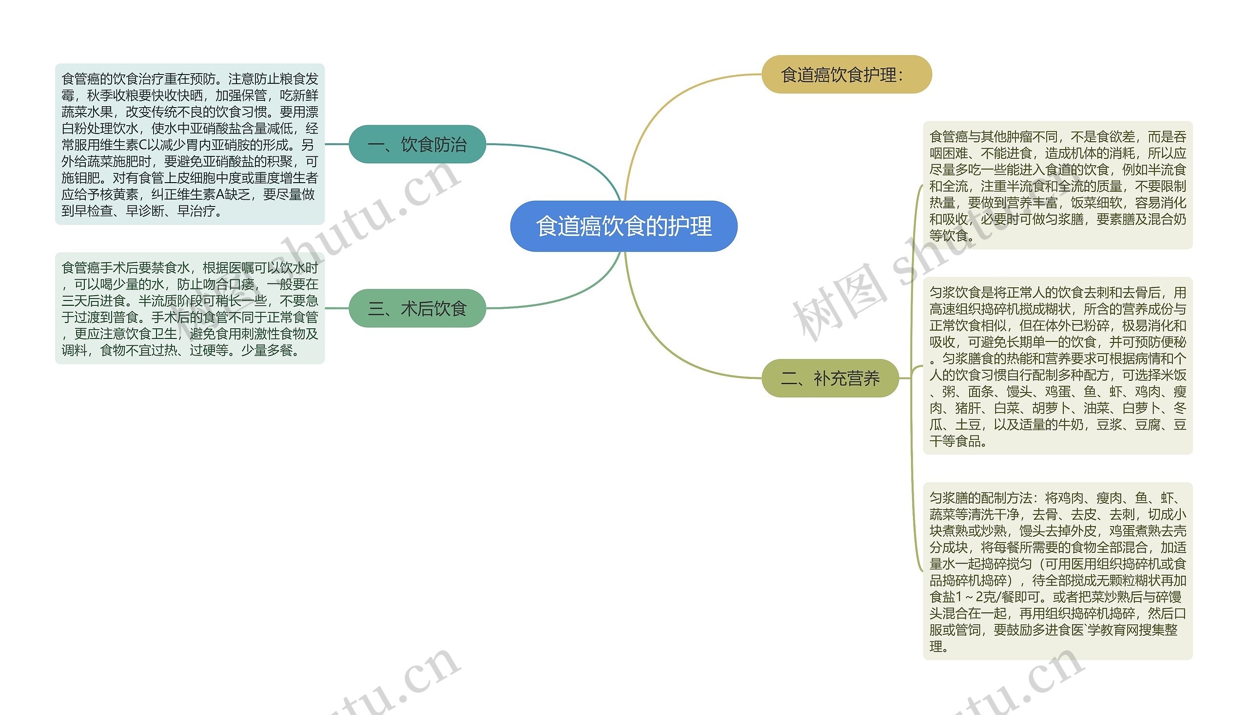 食道癌饮食的护理思维导图