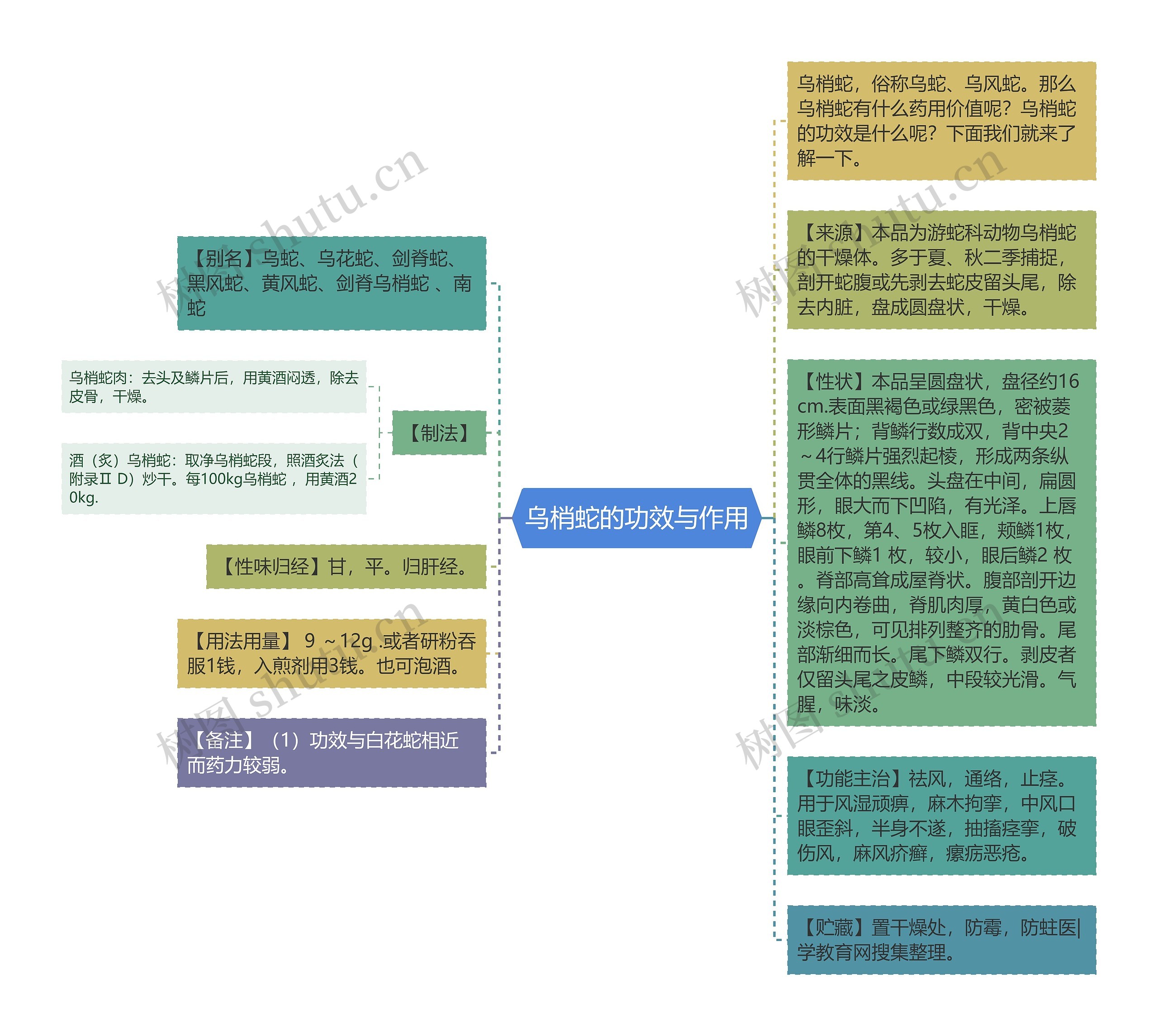 乌梢蛇的功效与作用思维导图