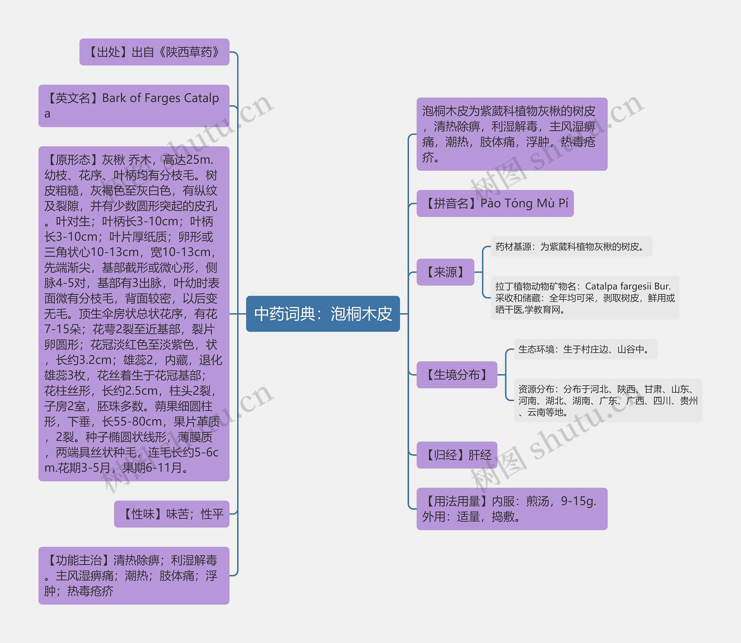 中药词典：泡桐木皮思维导图