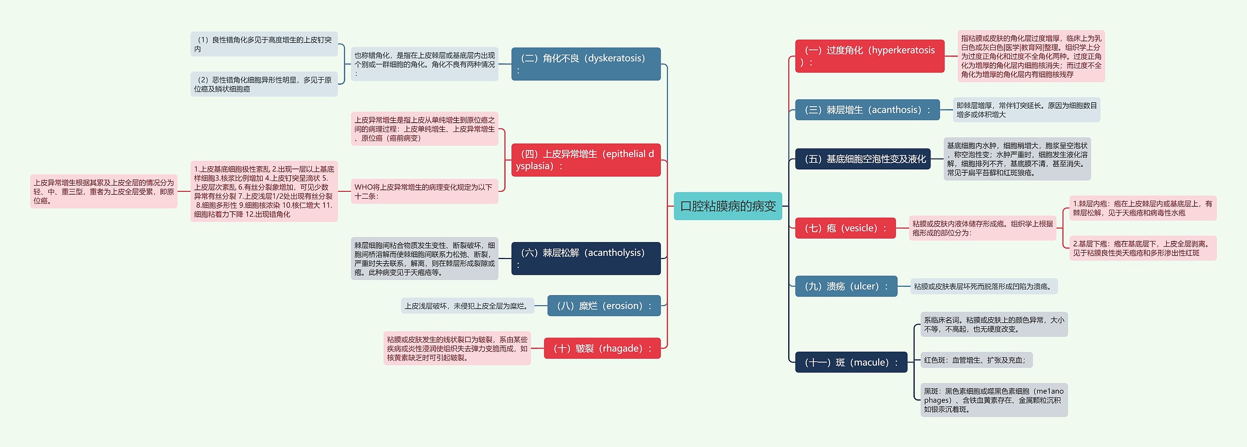 口腔粘膜病的病变