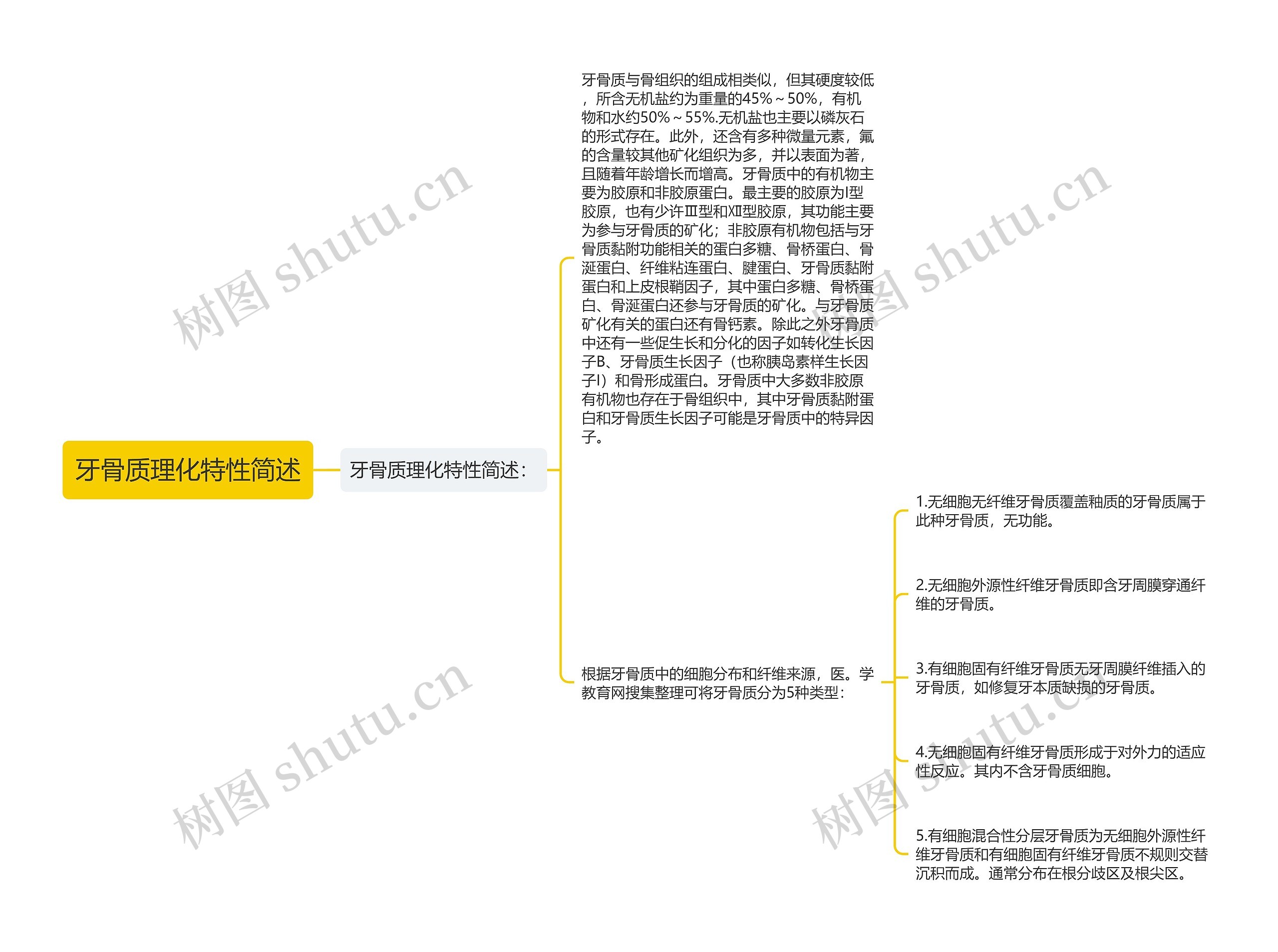 牙骨质理化特性简述思维导图