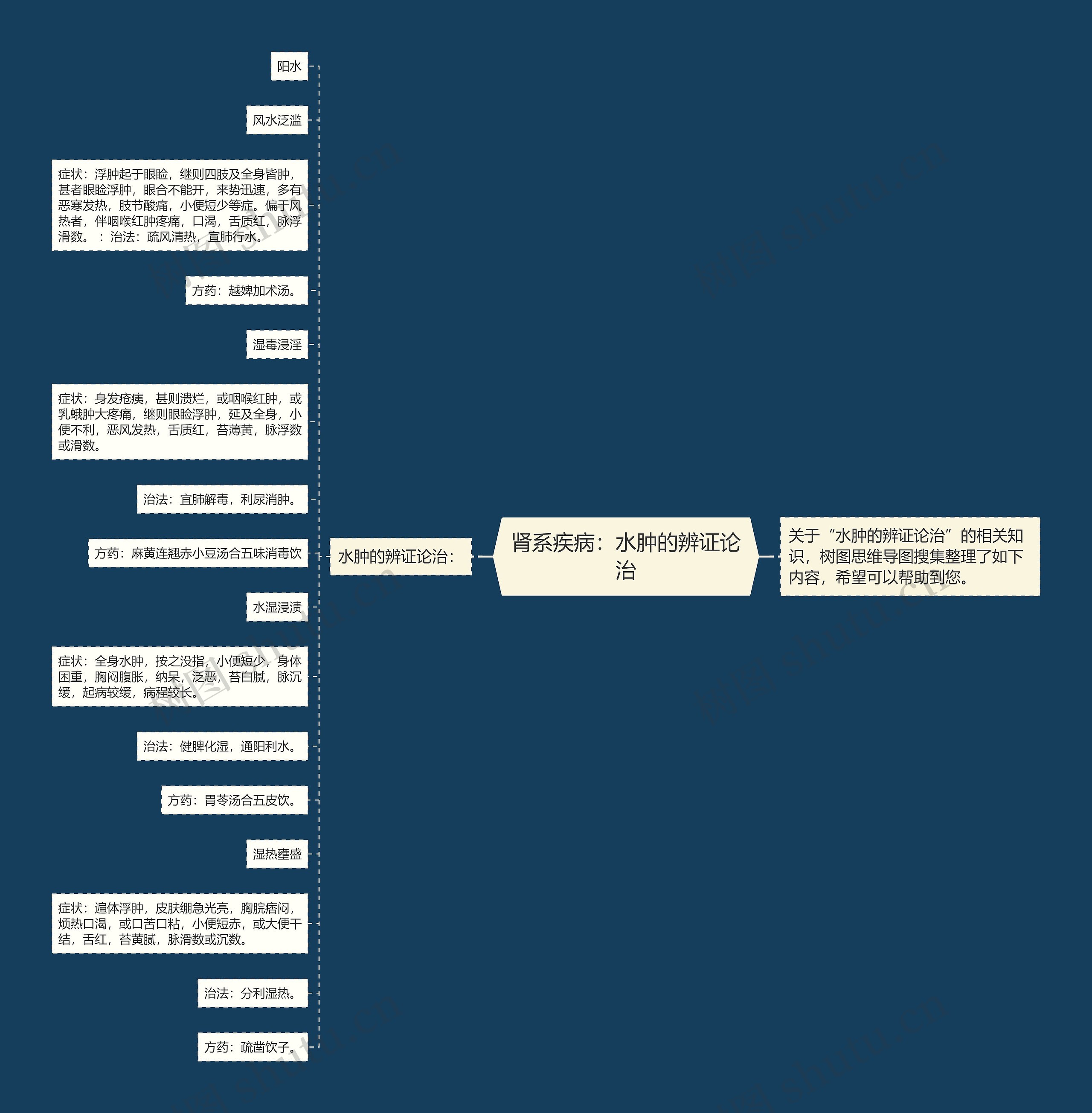 肾系疾病：水肿的辨证论治思维导图