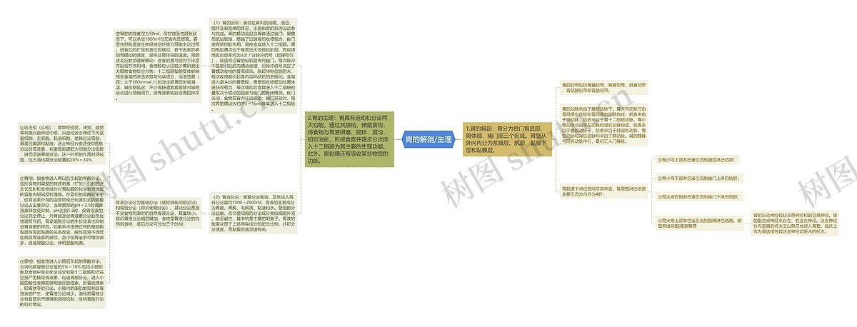 胃的解剖/生理思维导图_编号p6816267-TreeMind树图