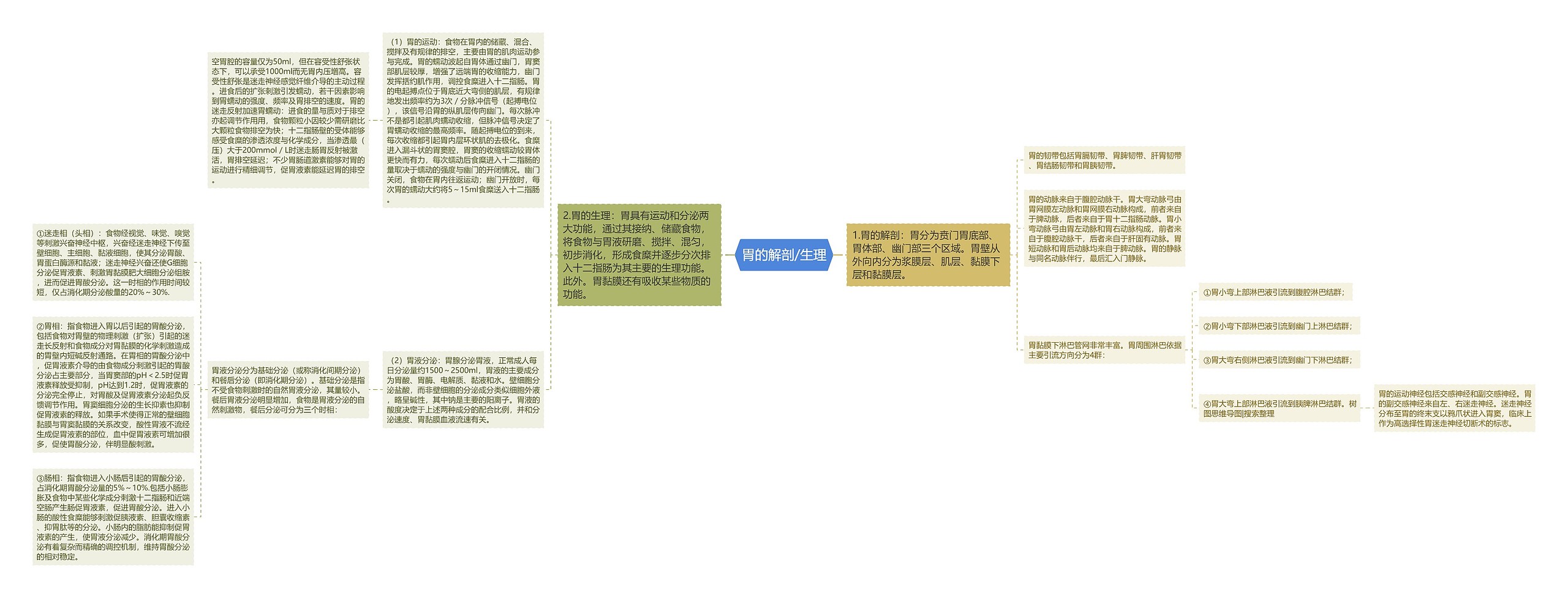 胃的解剖/生理 胃的解剖/生理