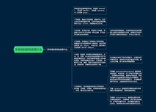 牙体组织的构成是什么