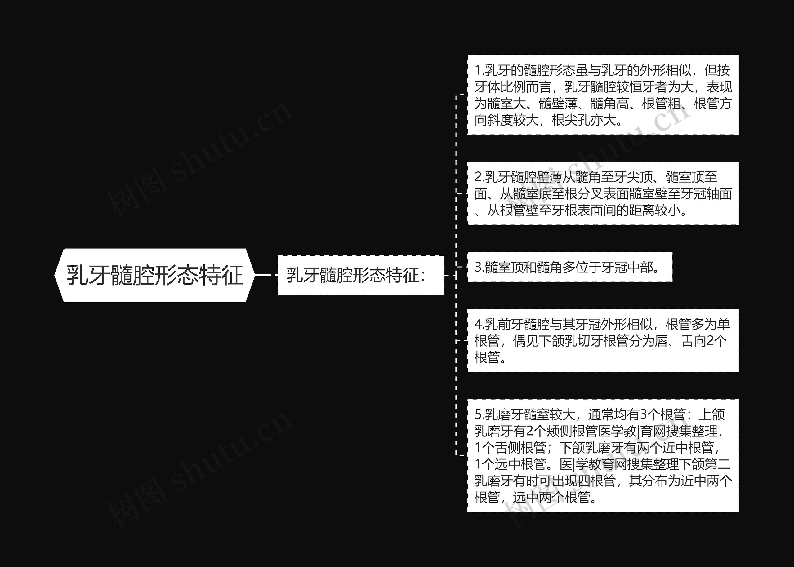 乳牙髓腔形态特征