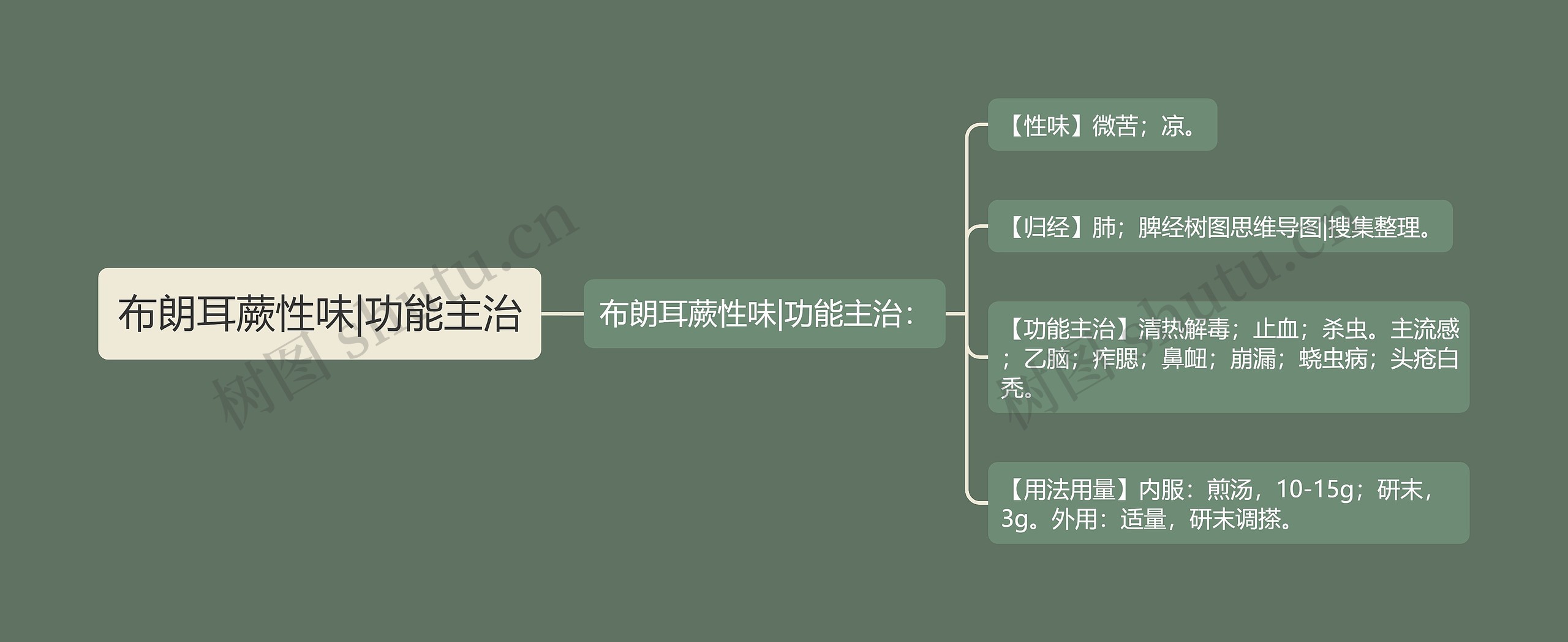 布朗耳蕨性味|功能主治思维导图