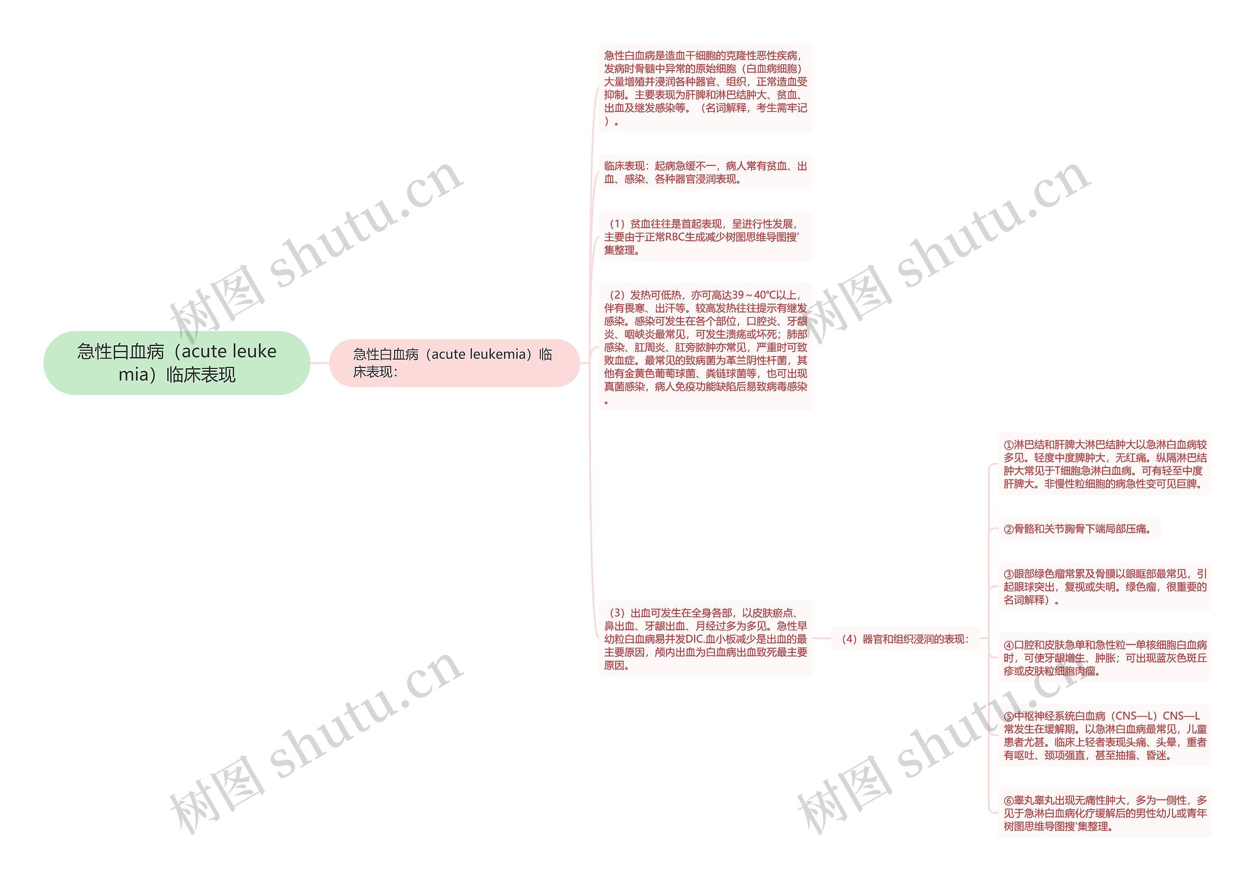 急性白血病（acute leukemia）临床表现思维导图