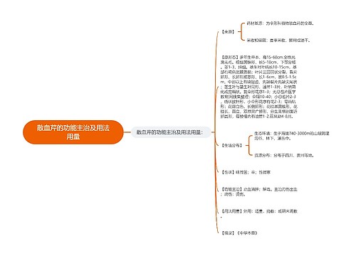 散血芹的功能主治及用法用量