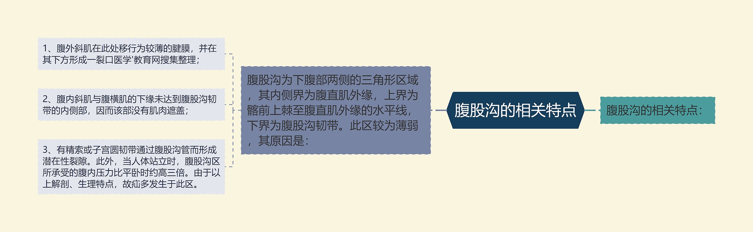 腹股沟的相关特点