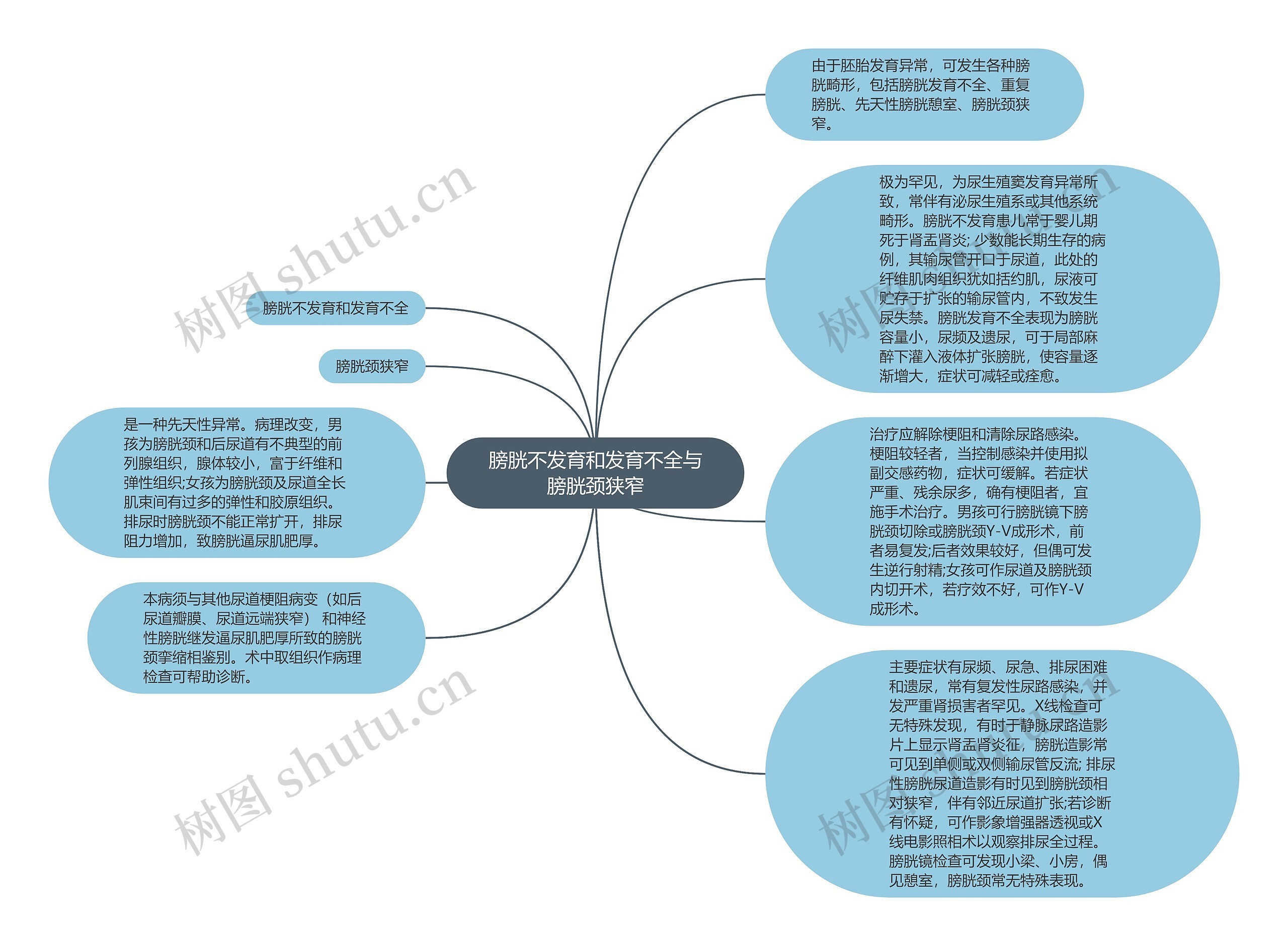 膀胱不发育和发育不全与膀胱颈狭窄思维导图