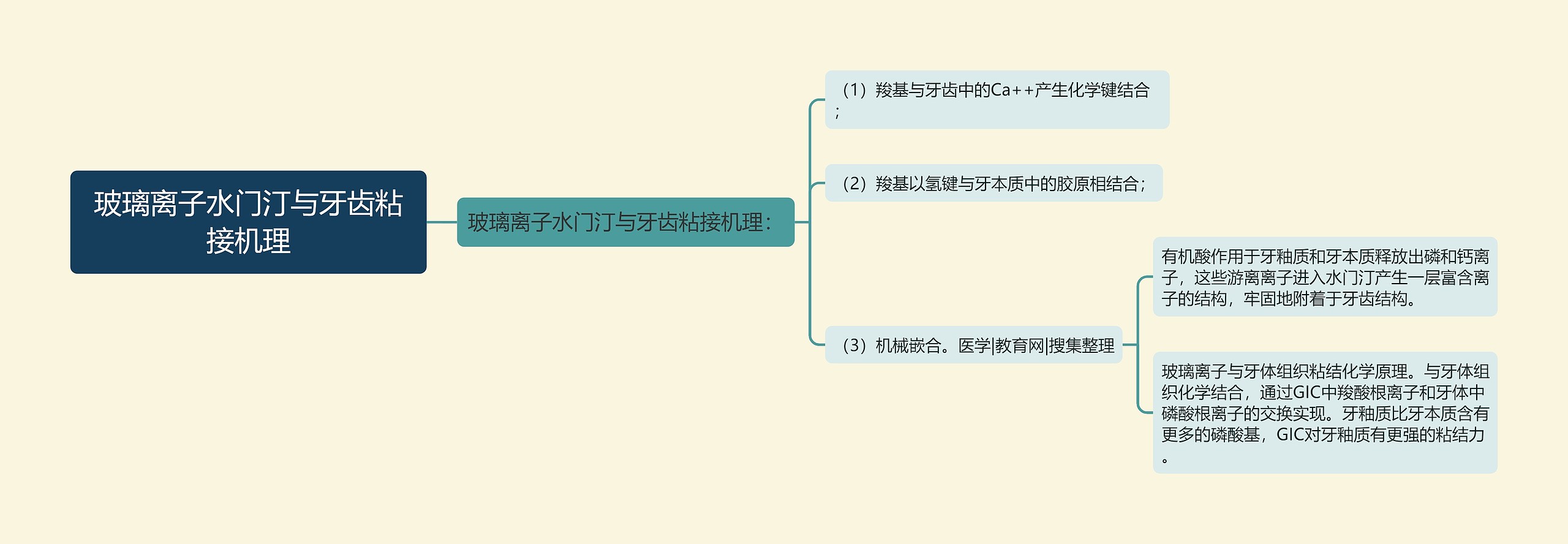 玻璃离子水门汀与牙齿粘接机理