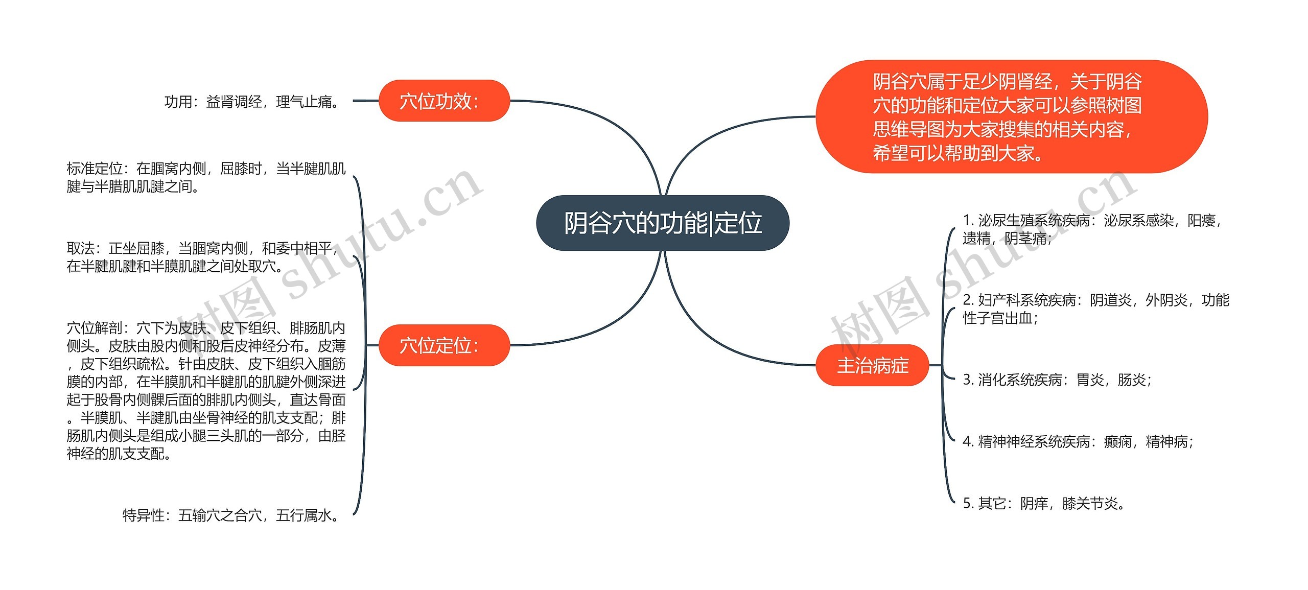 阴谷穴的功能|定位思维导图