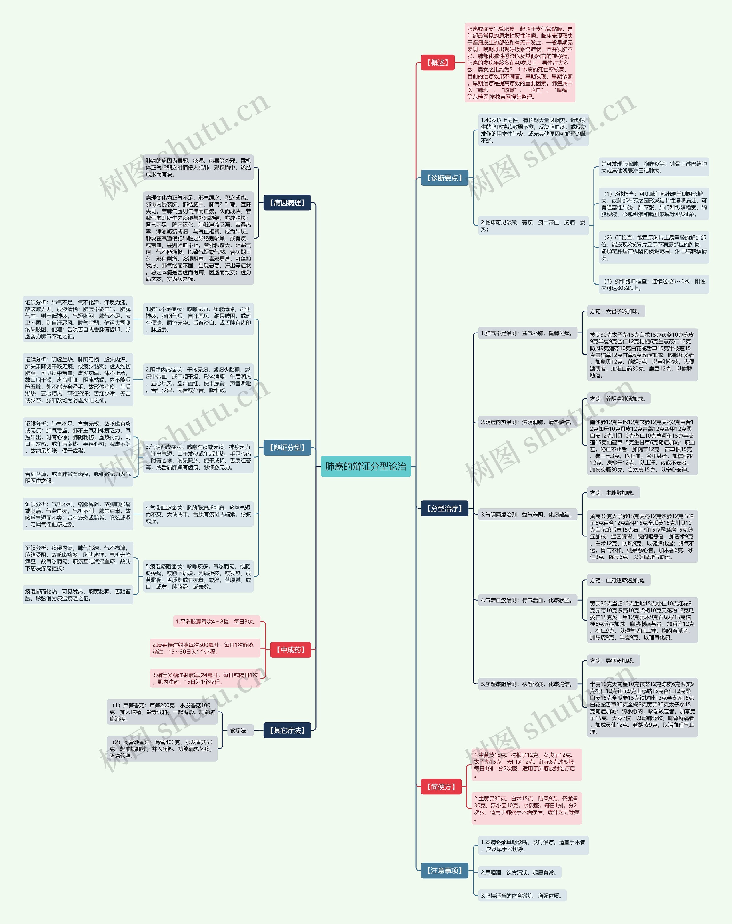 肺癌的辩证分型论治思维导图