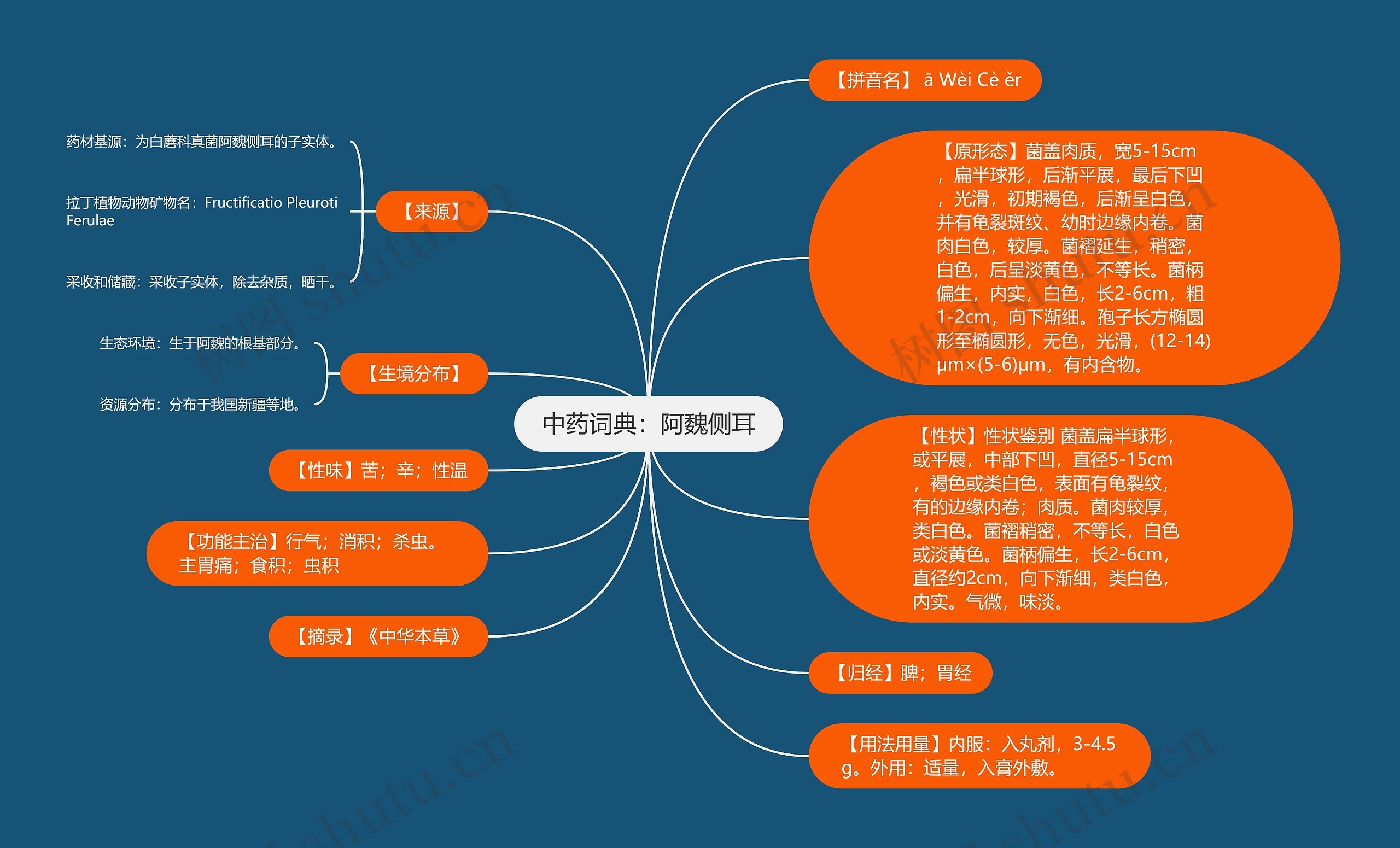 中药词典：阿魏侧耳思维导图