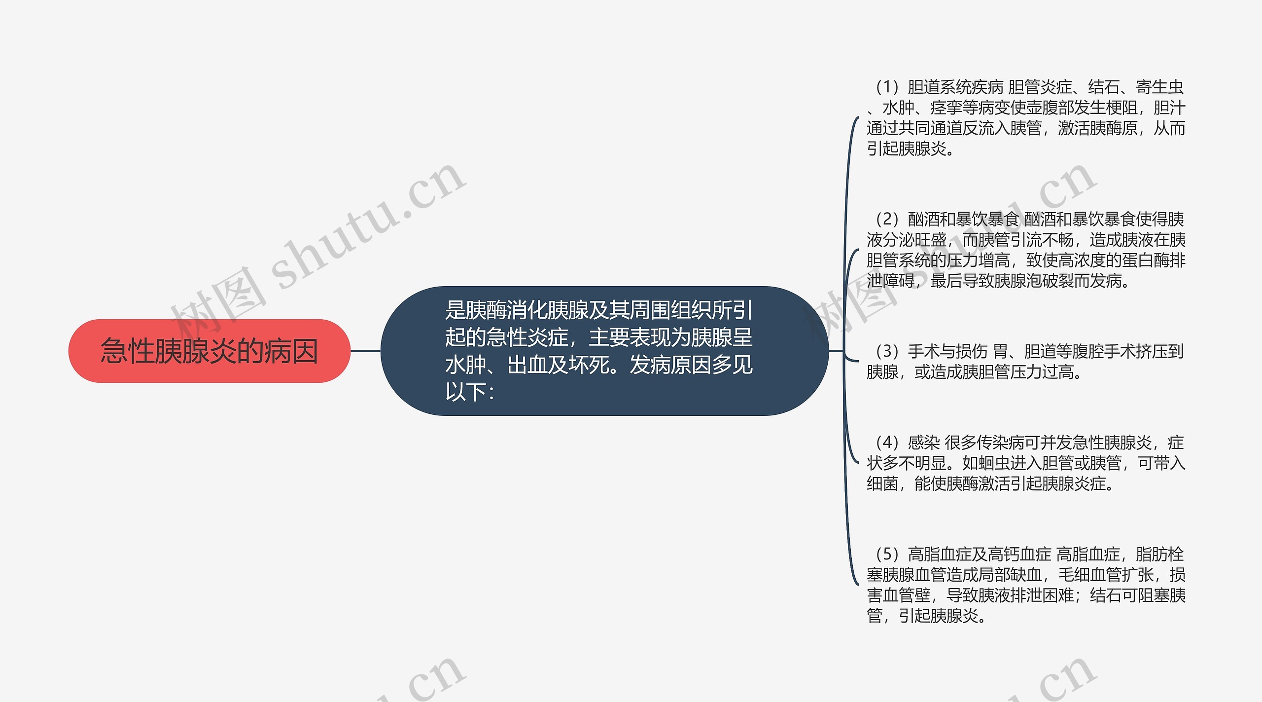 急性胰腺炎的病因思维导图