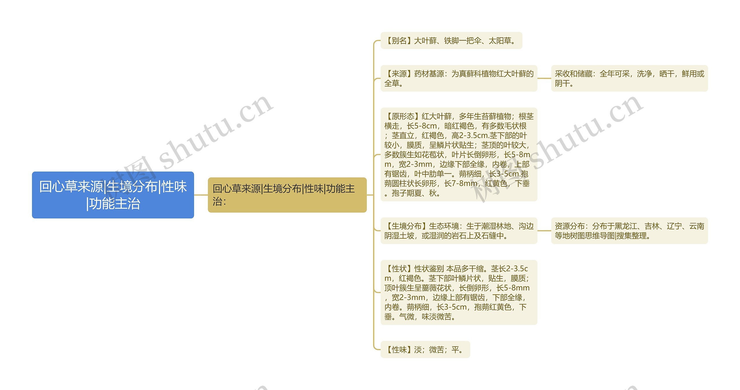 回心草来源|生境分布|性味|功能主治思维导图