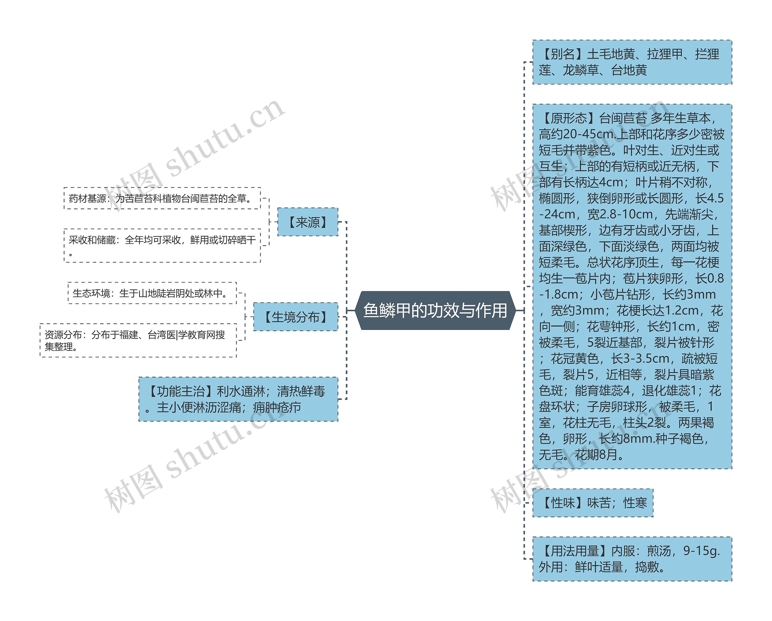 鱼鳞甲的功效与作用思维导图