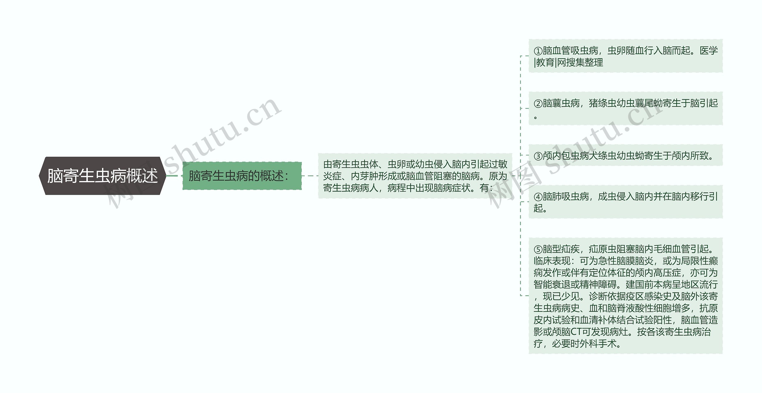 脑寄生虫病概述 脑寄生虫病概述