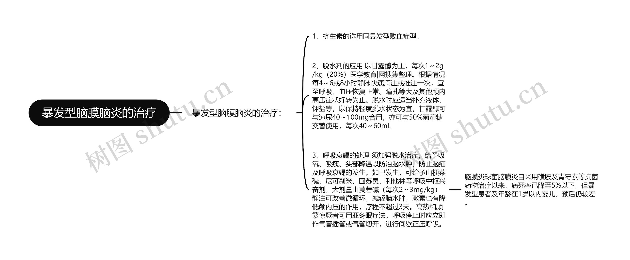 暴发型脑膜脑炎的治疗