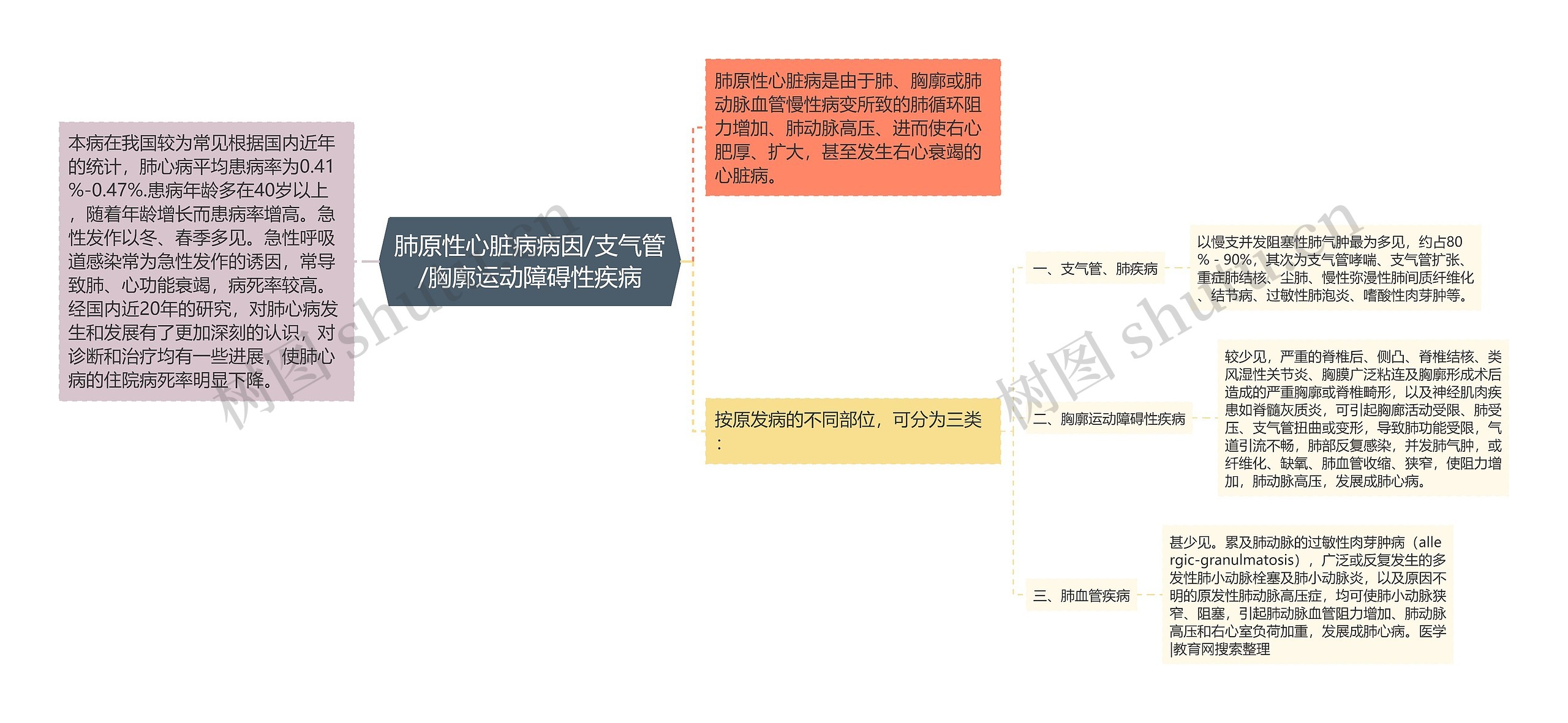 肺原性心脏病病因/支气管/胸廓运动障碍性疾病思维导图