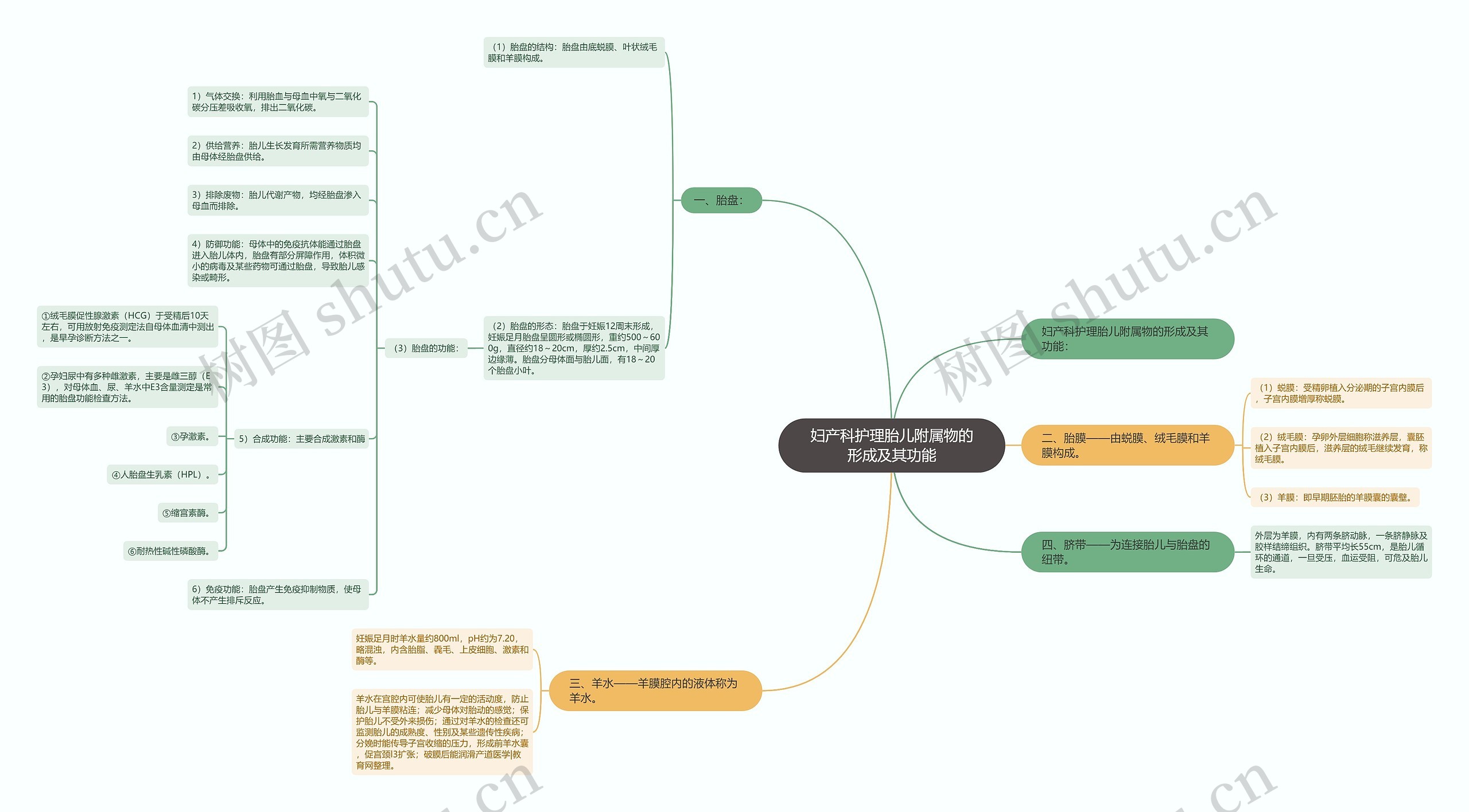 妇产科护理胎儿附属物的形成及其功能思维导图