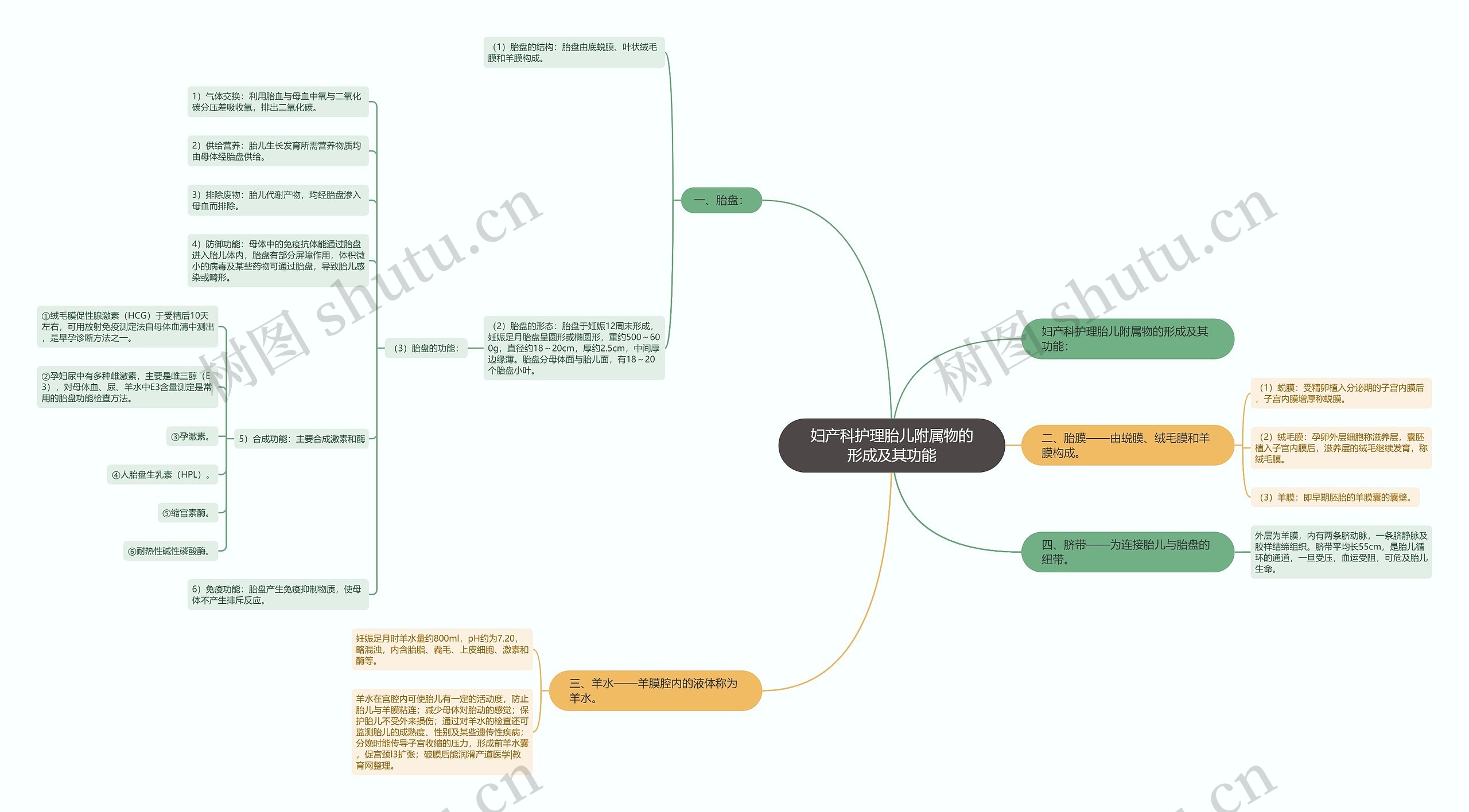 妇产科护理胎儿附属物的形成及其功能 妇产科护理胎儿附属物的形成及其功能