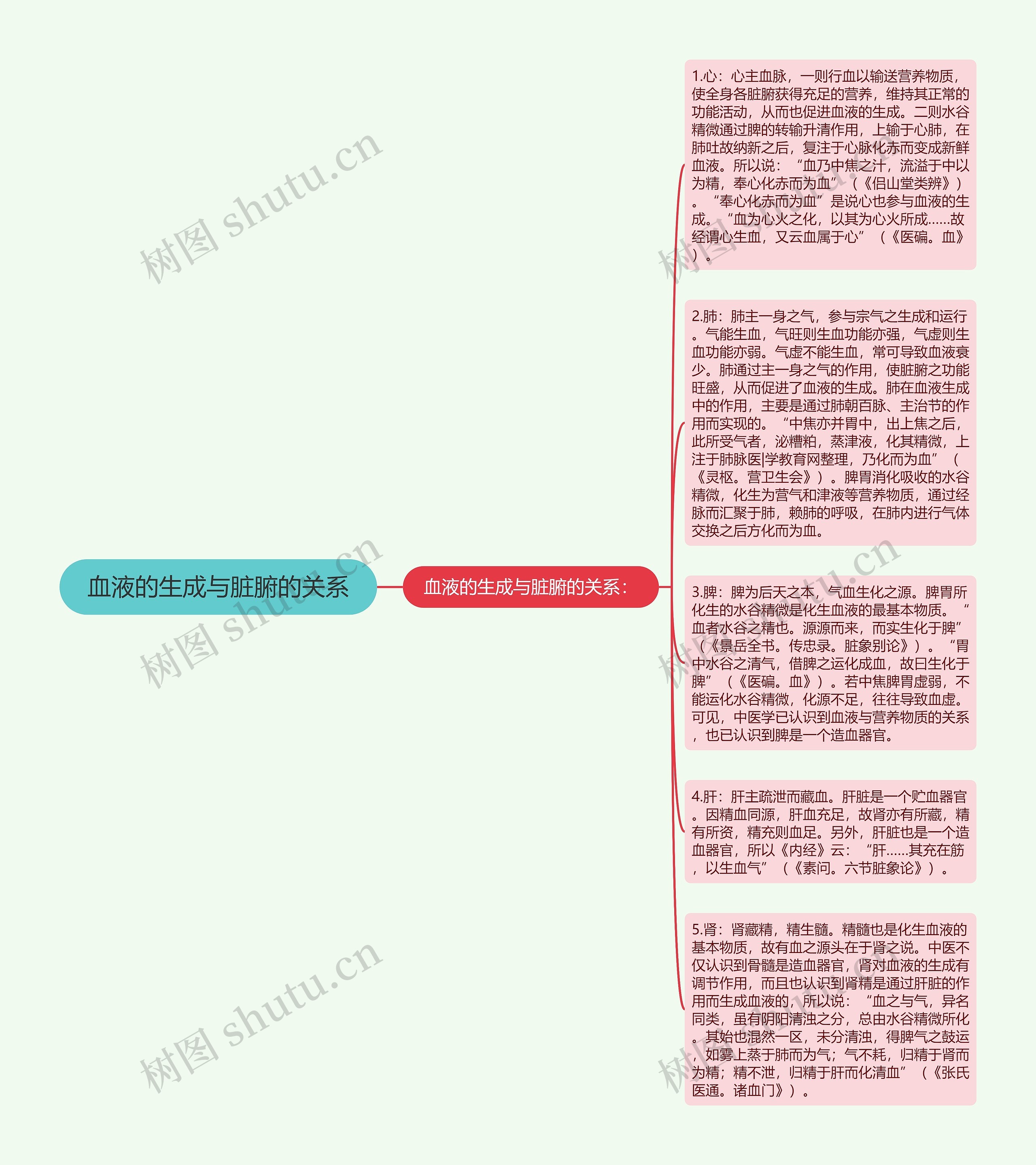 血液的生成与脏腑的关系思维导图