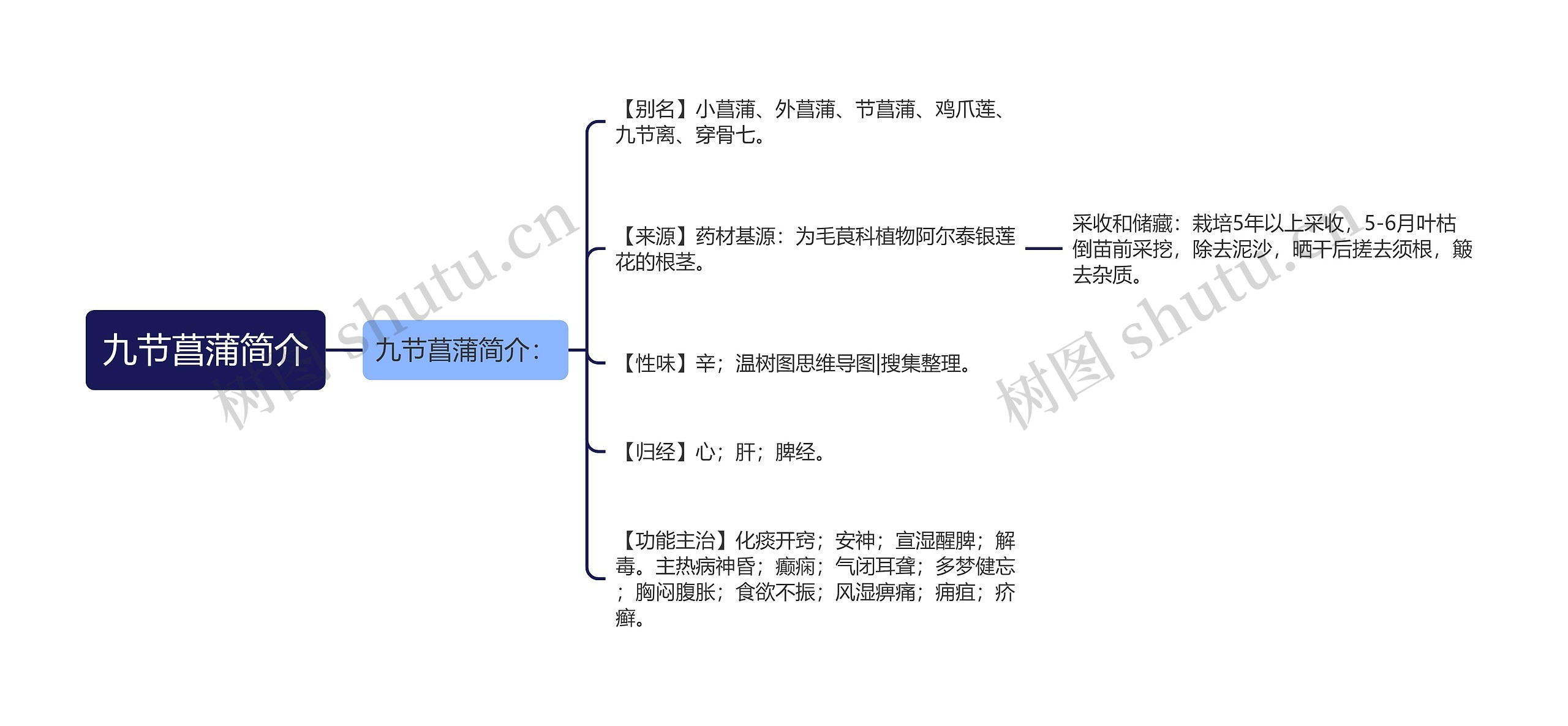 九节菖蒲简介思维导图