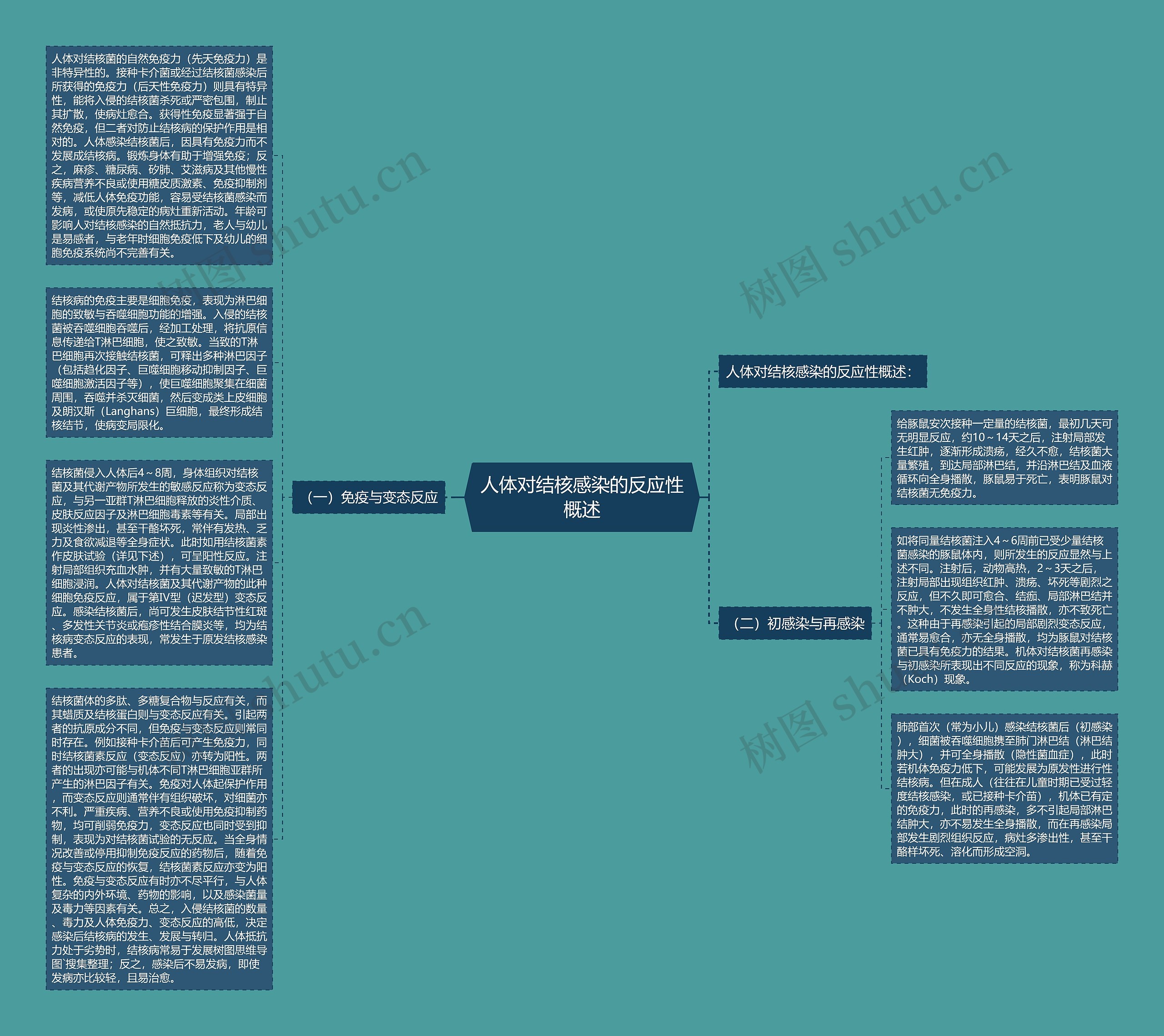 人体对结核感染的反应性概述思维导图高清图 人体对结核感染的反应性概述思维导图