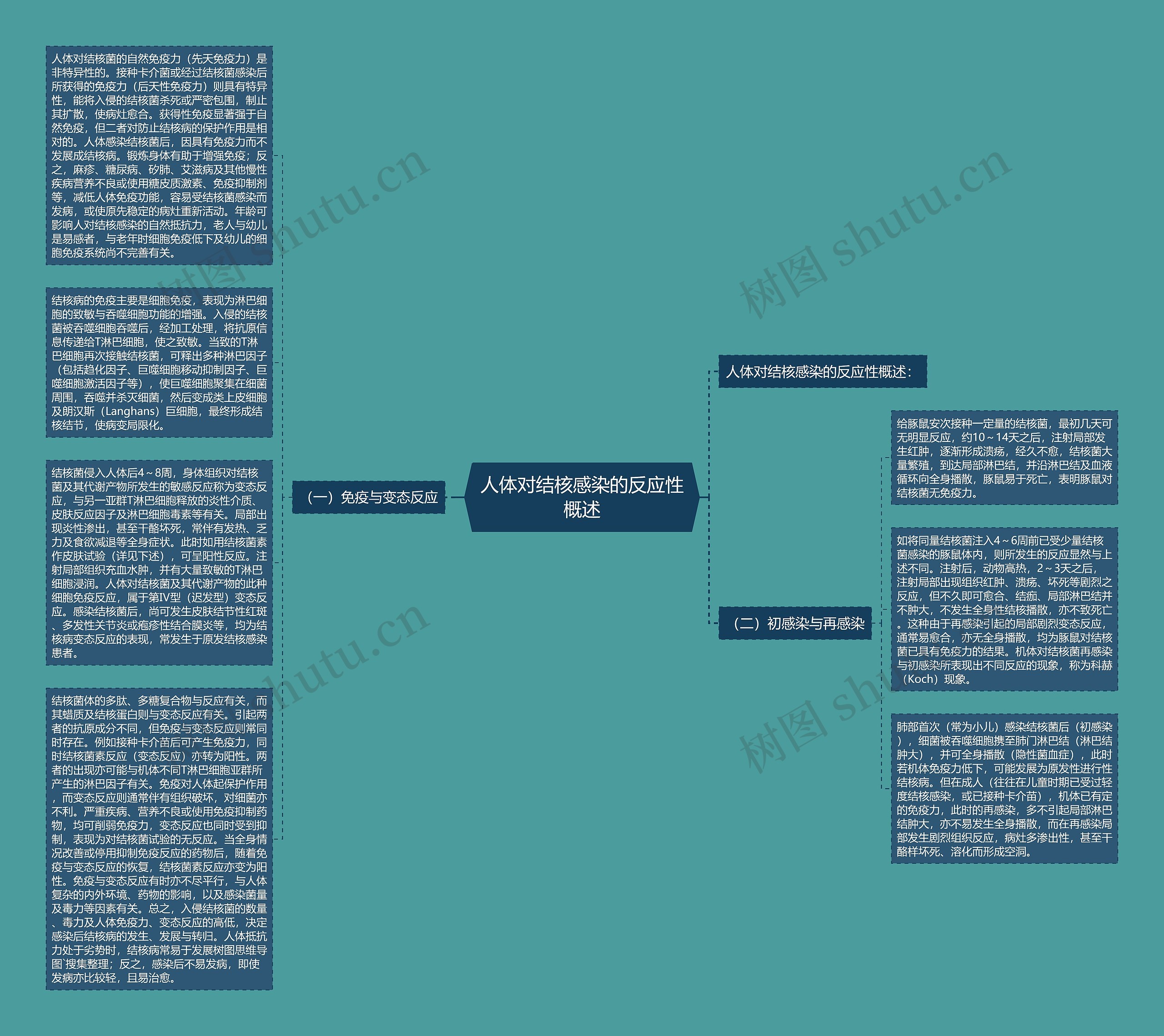 人体对结核感染的反应性概述思维导图