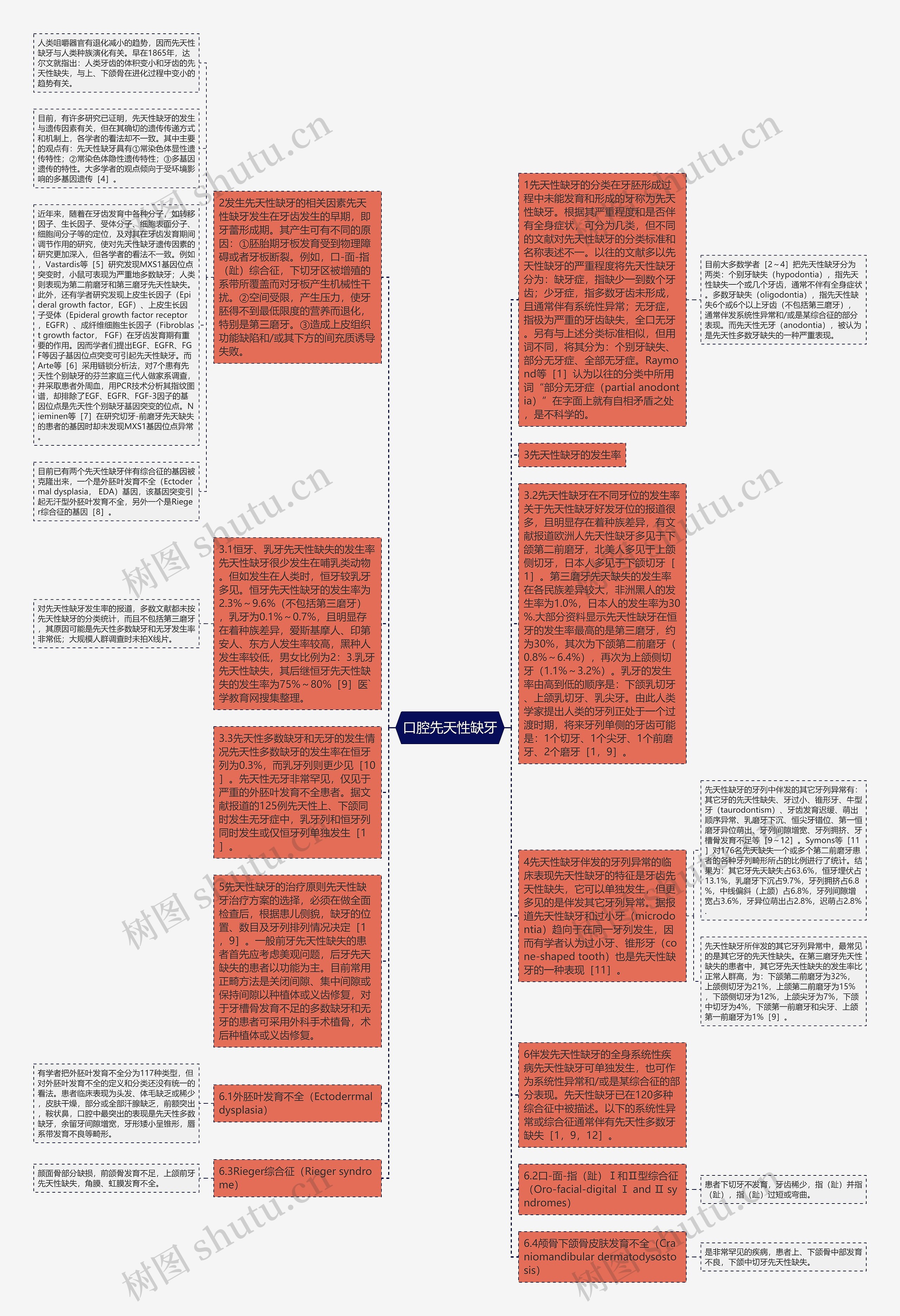 口腔先天性缺牙思维导图