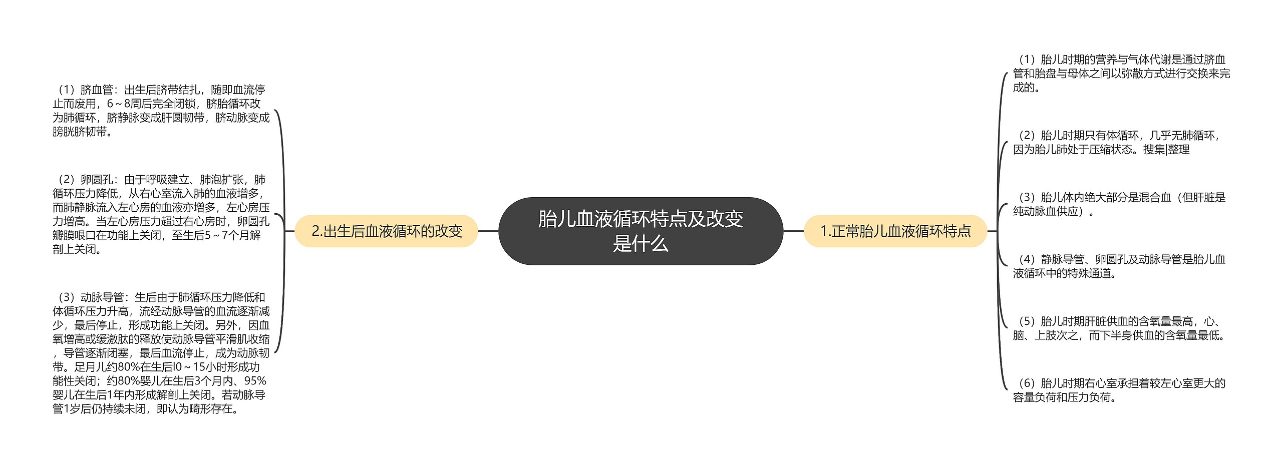 胎儿血液循环特点及改变是什么 胎儿血液循环特点及改变是什么
