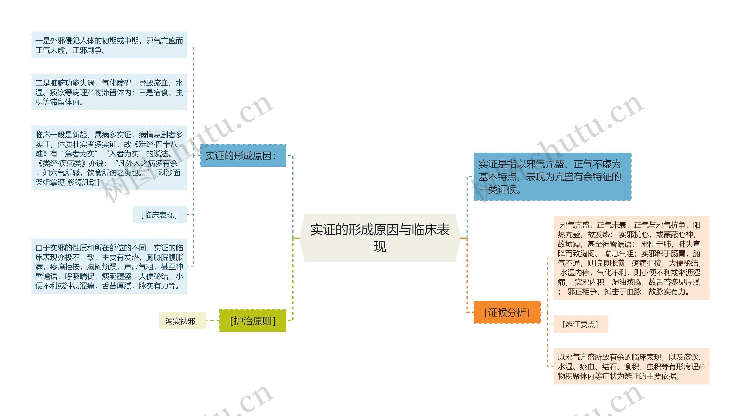 实证的形成原因与临床表现