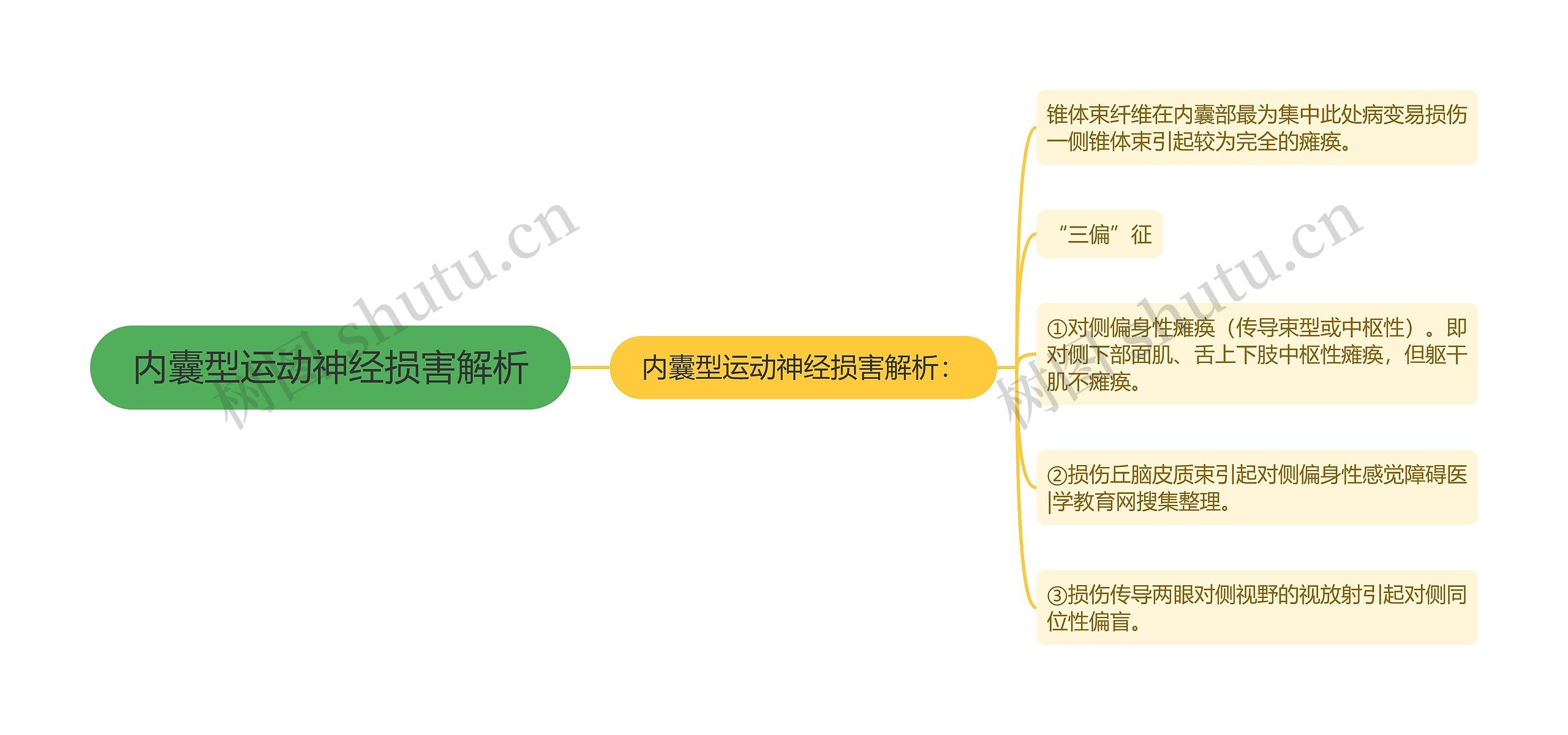 内囊型运动神经损害解析思维导图