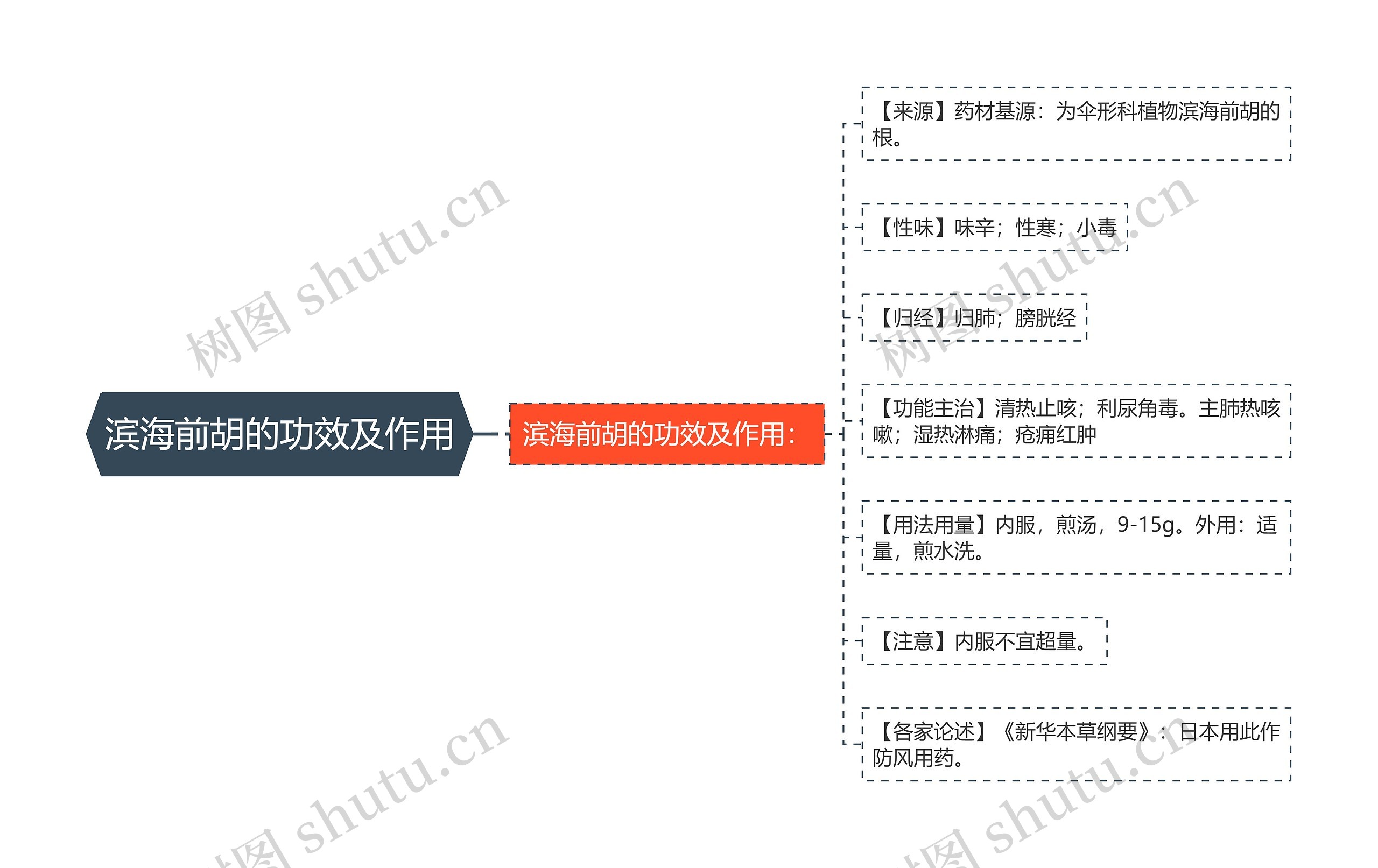 滨海前胡的功效及作用思维导图