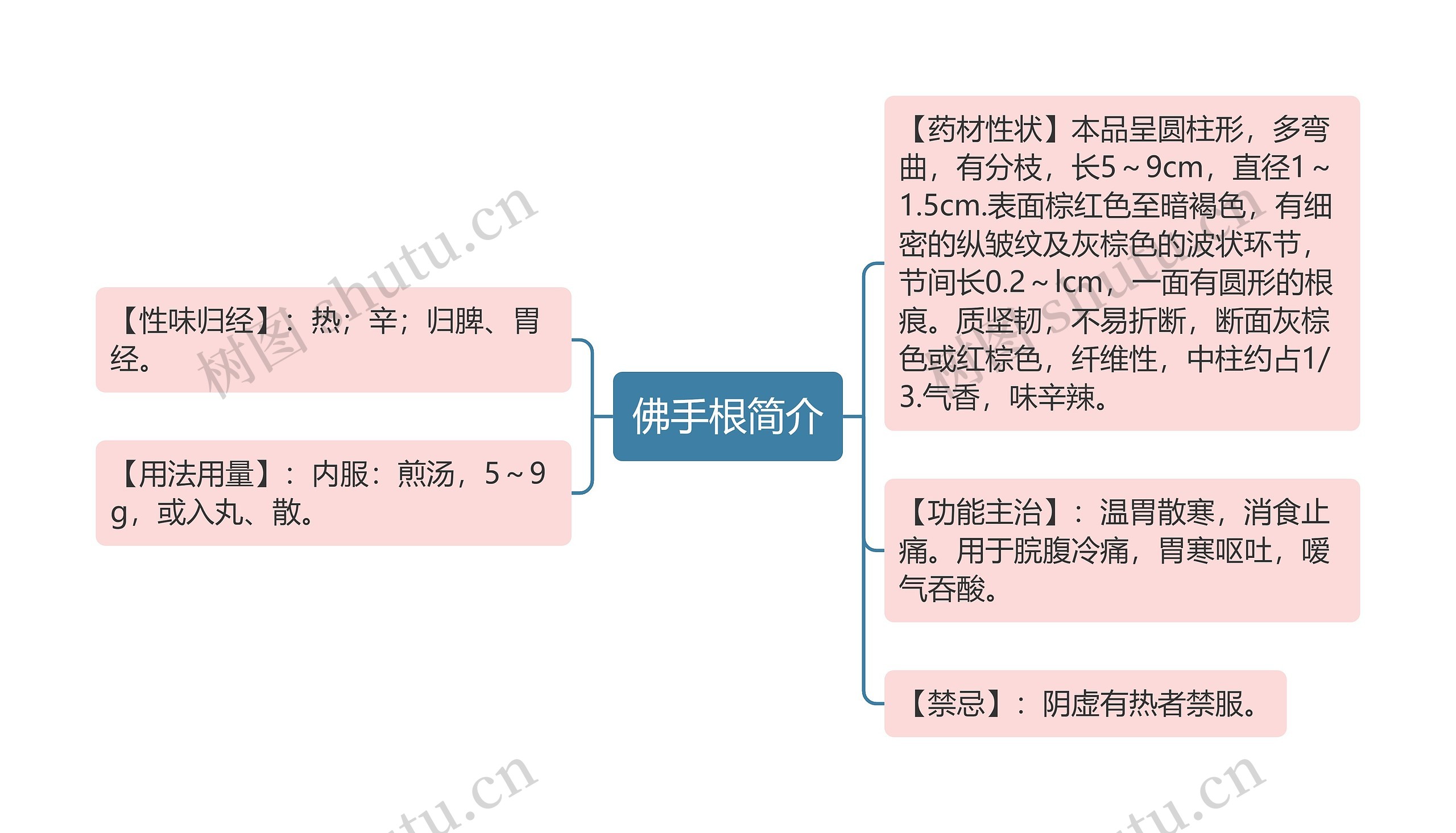 佛手根简介思维导图