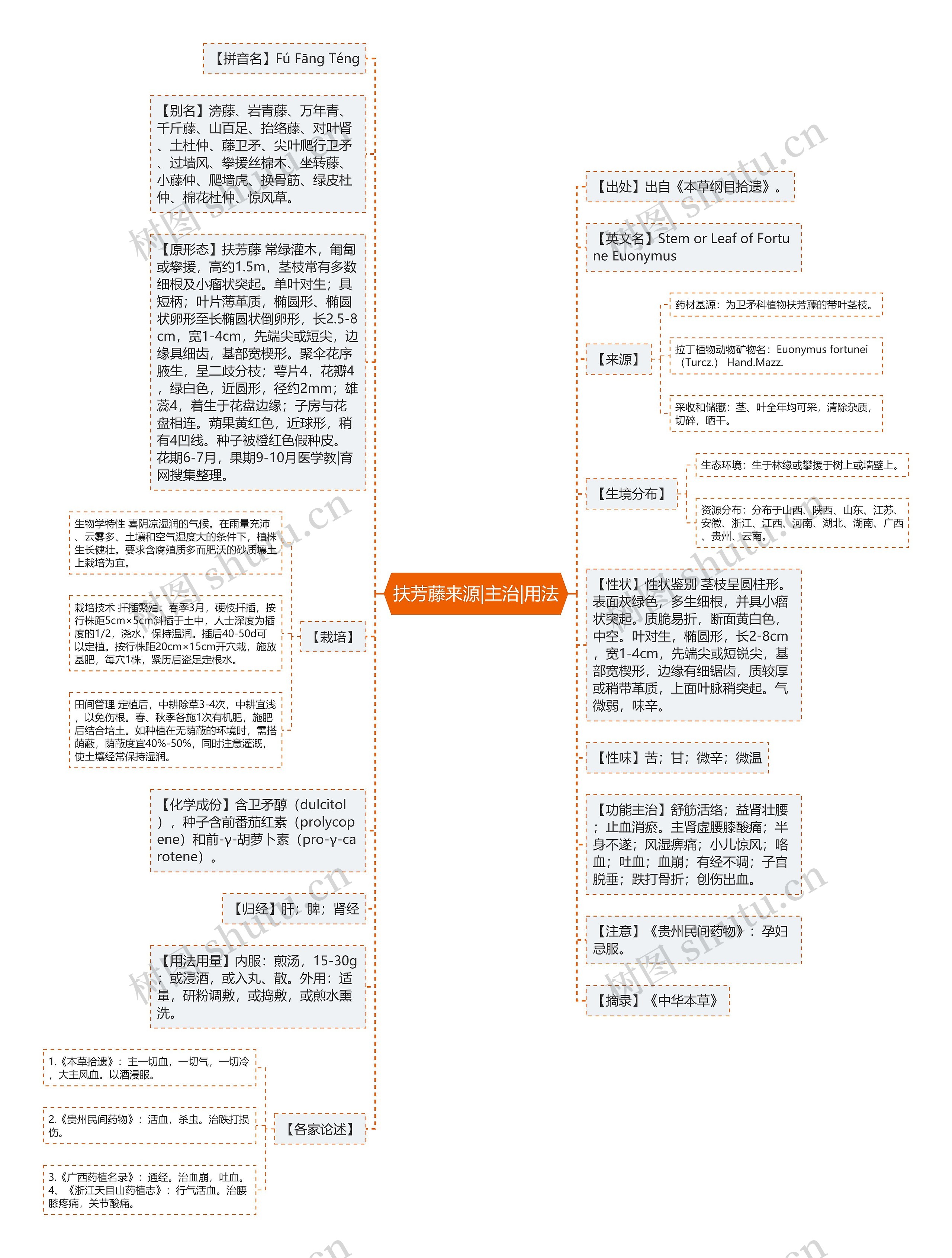 扶芳藤来源|主治|用法思维导图