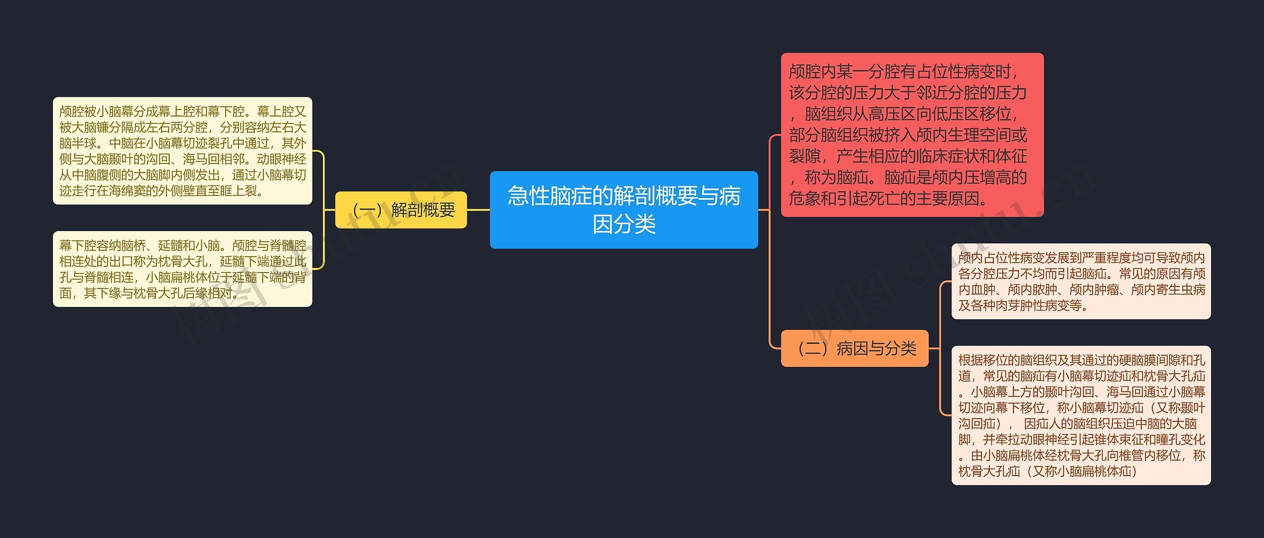 急性脑症的解剖概要与病因分类思维导图