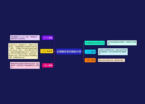 生殖器官邻近器官介绍